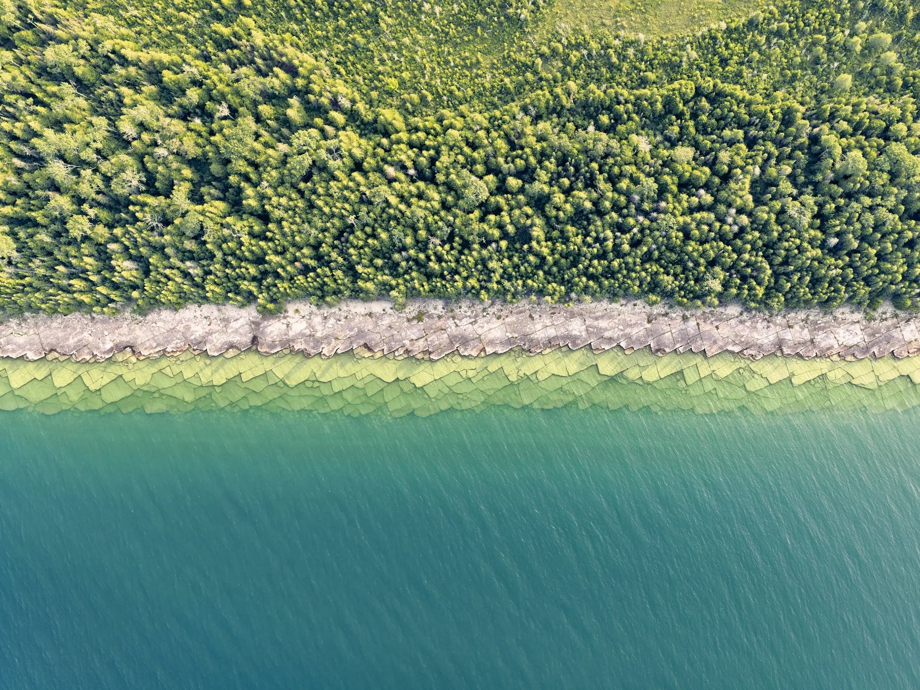 Aerial view of a coastal area with a dense forest, a rocky shore, and clear blue-green water. This rocky feature is called Fossil Ledges and it's on Drummond Island in Michigan. Taken with a drone by James Manning.