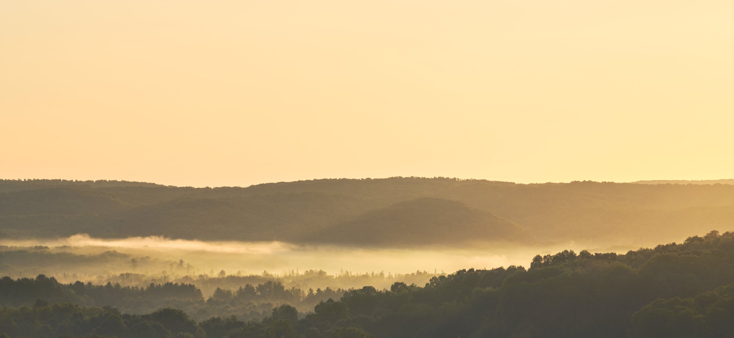 "Apricot Dawn" — Jordan Valley, Michigan, 2024