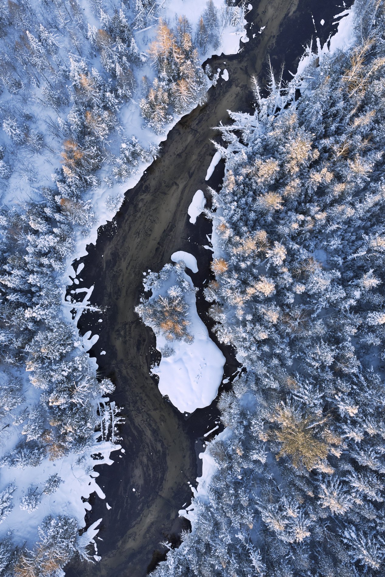 Aerial view of a snowy forest with a winding river running through it, the Cedar River near Bellaire, Michigan. This drone photograph was taken by James Manning and is titled "Opal Island".
