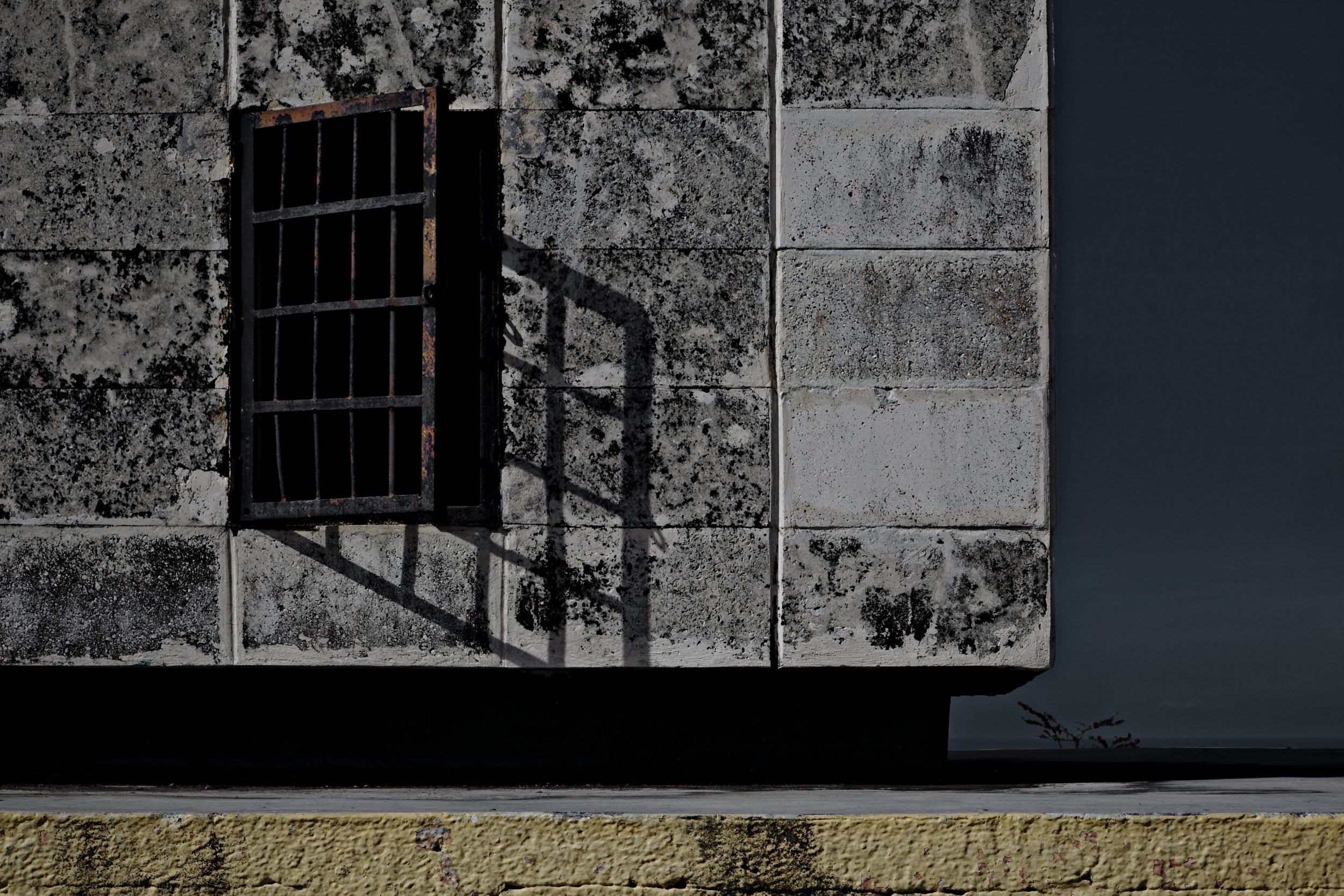 IMG_1053-Edit 20 x 30-2.jpg