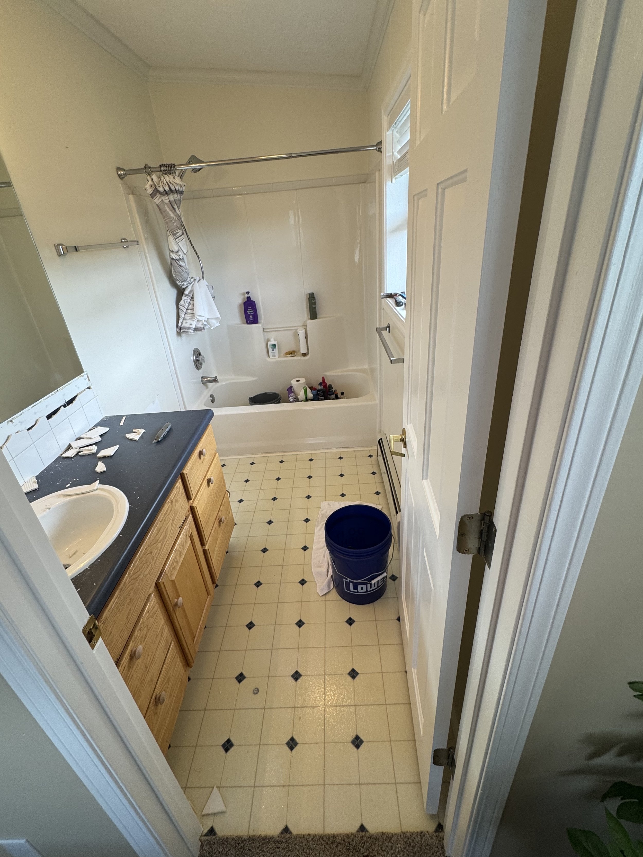 Before Bathroom Remodel