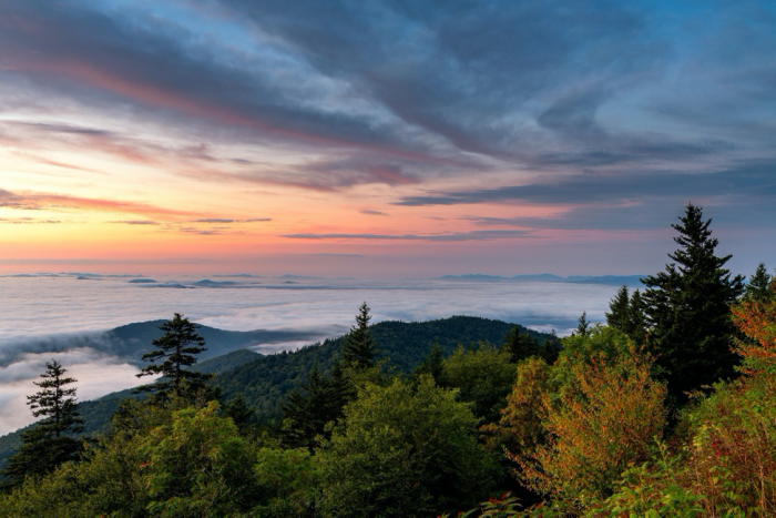 The Art of Curated Travel: Fewer Stops, Better Experiences