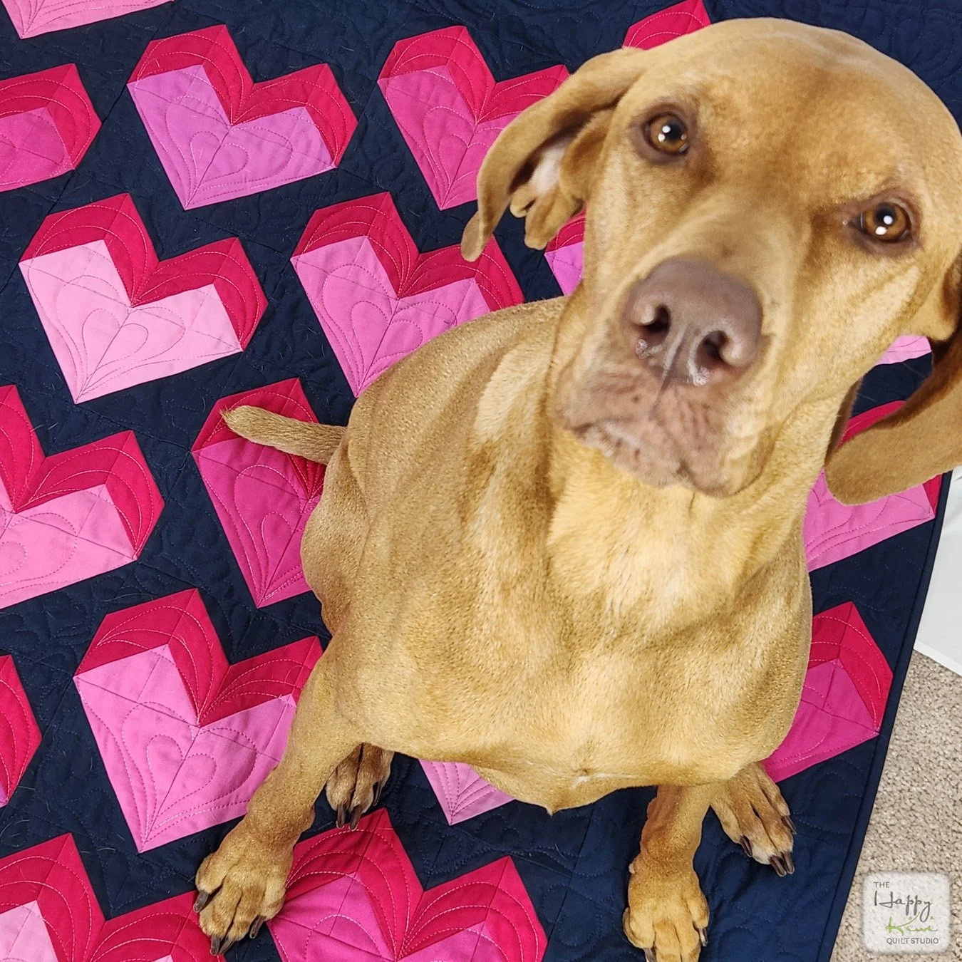 A cute vizsla sitting on a modern heart quilt