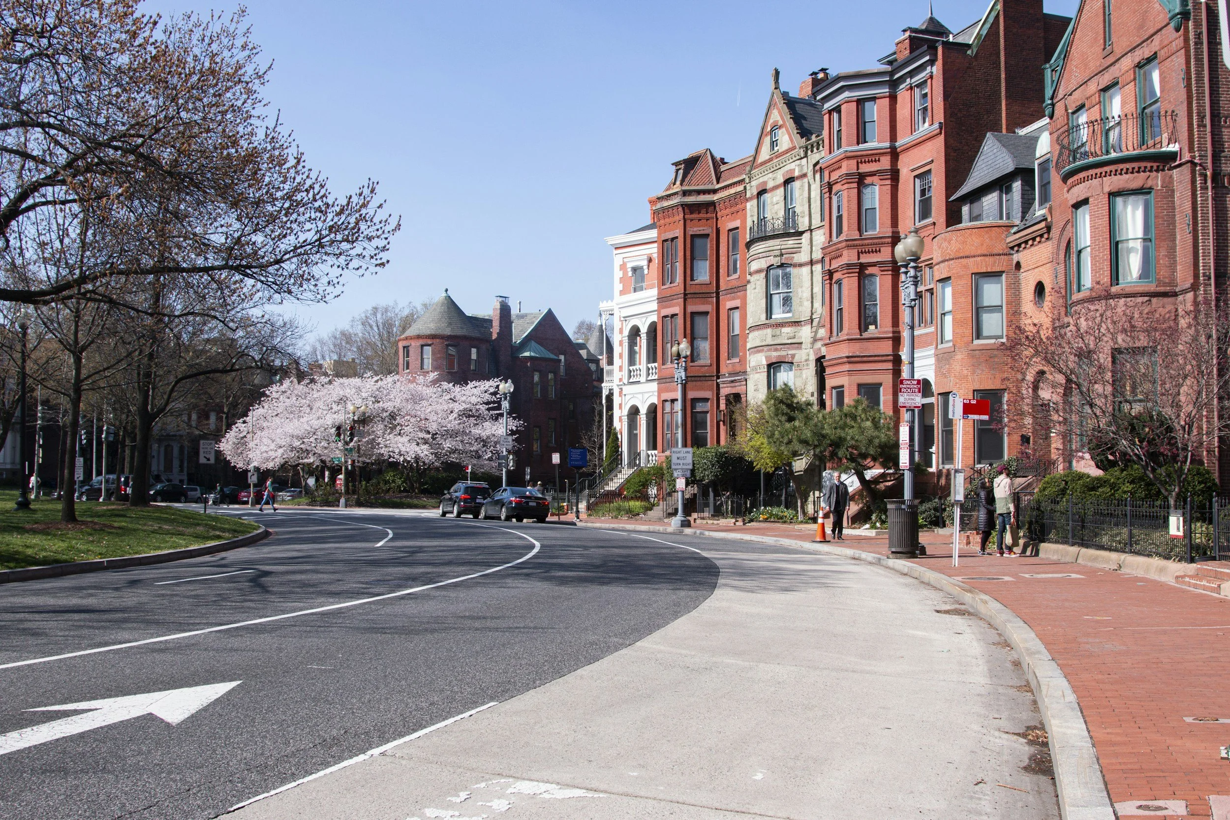 Street view with historic red brick buildings, cherry blossom trees, pedestrians, cars, and clear blue sky.