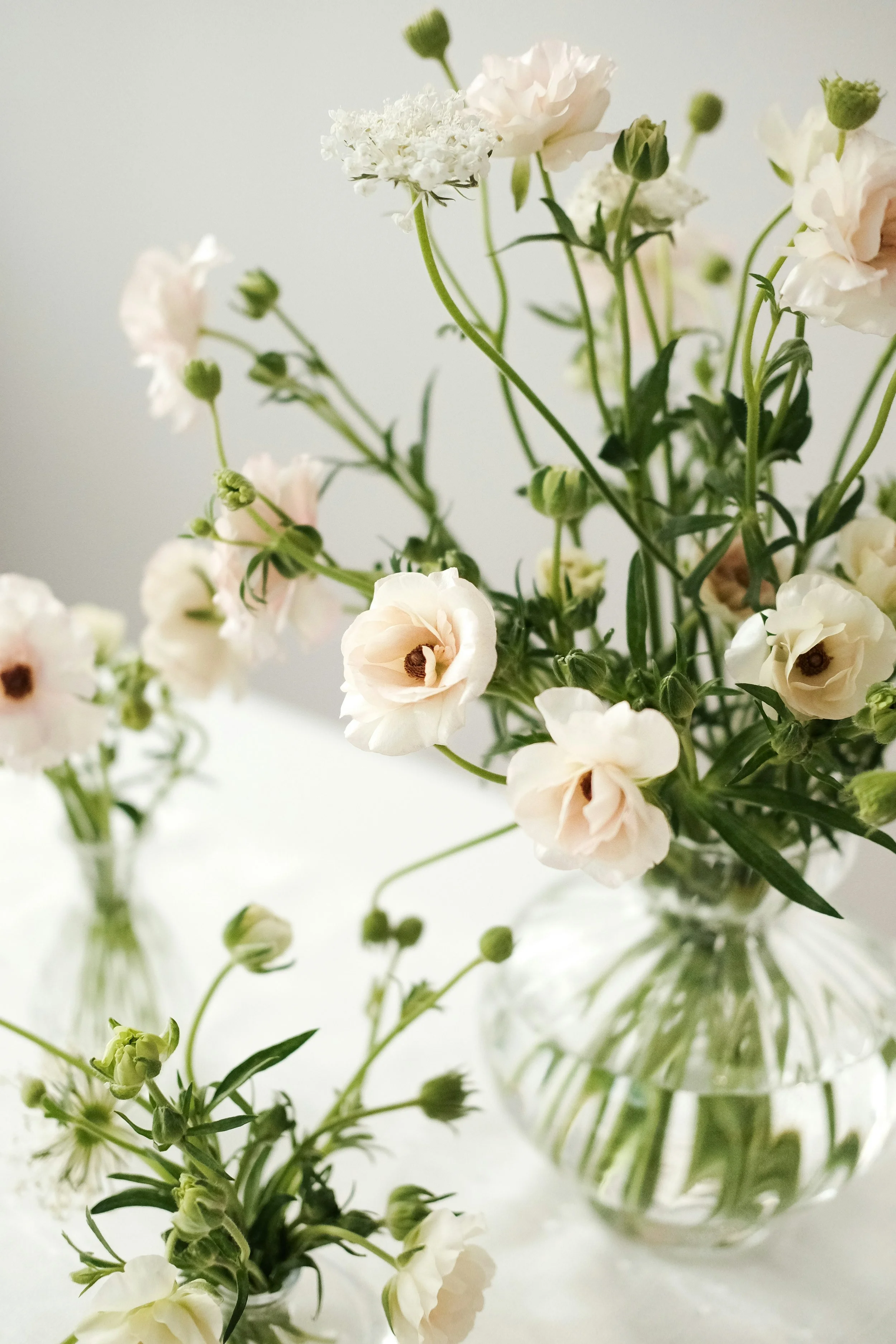 Delicate white and light pink flowers arranged in clear glass vases.