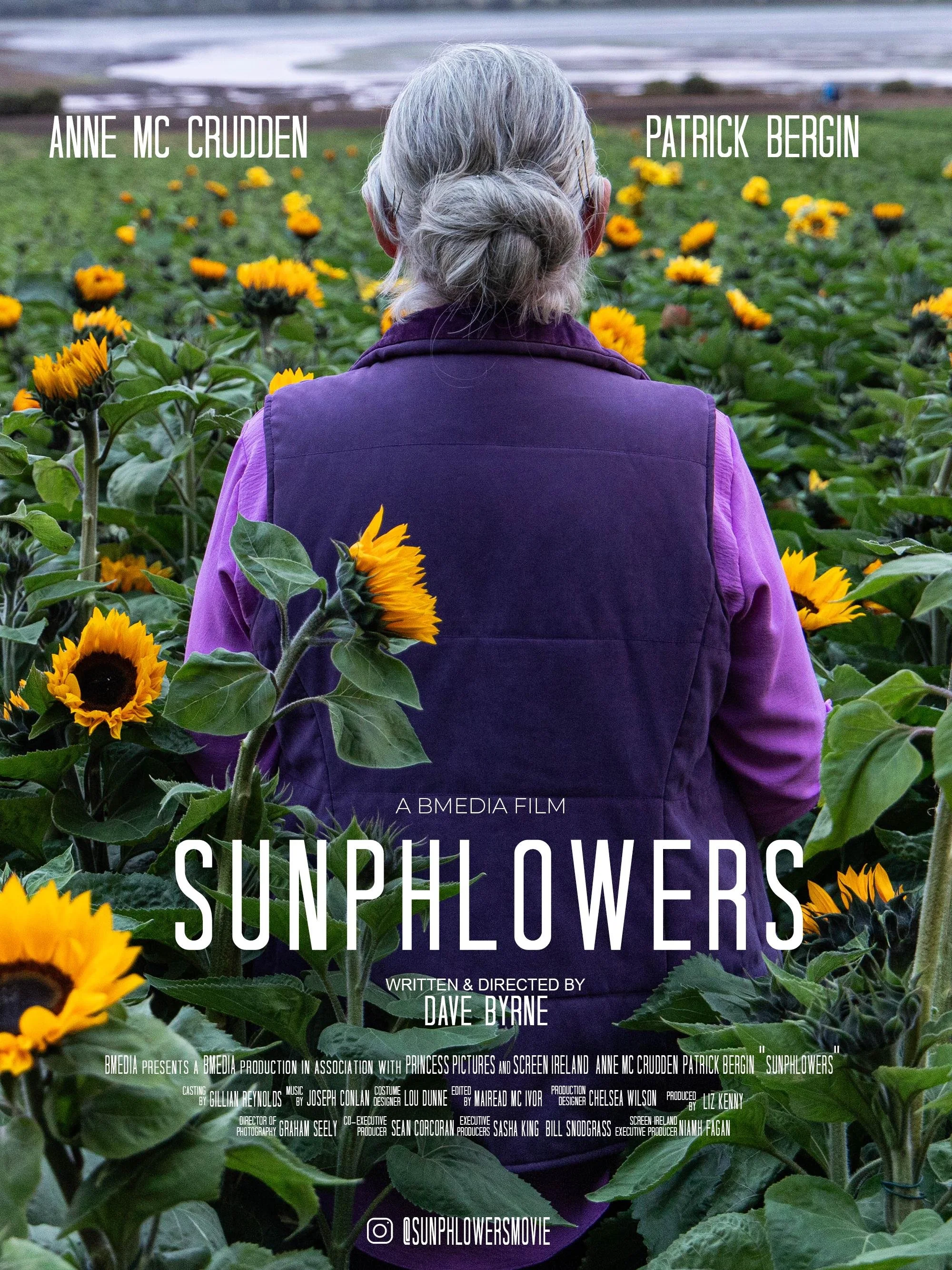 Sunphlowers.jpg
