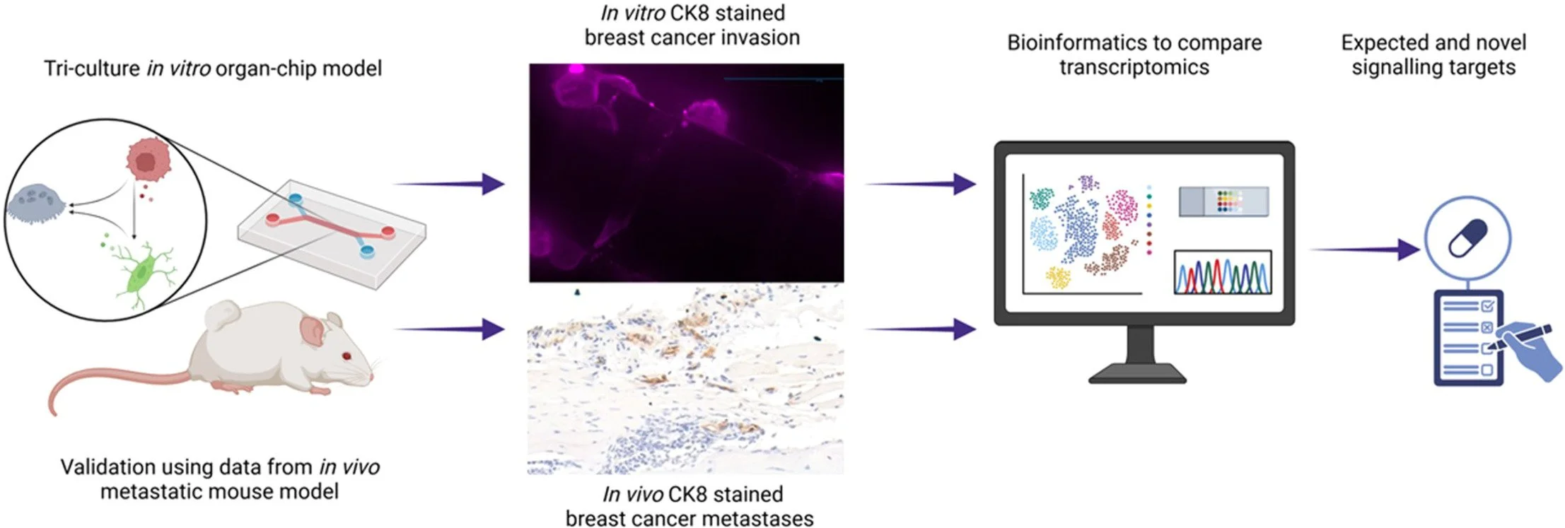 Multi-omics qualification bone cancer organ-chips 