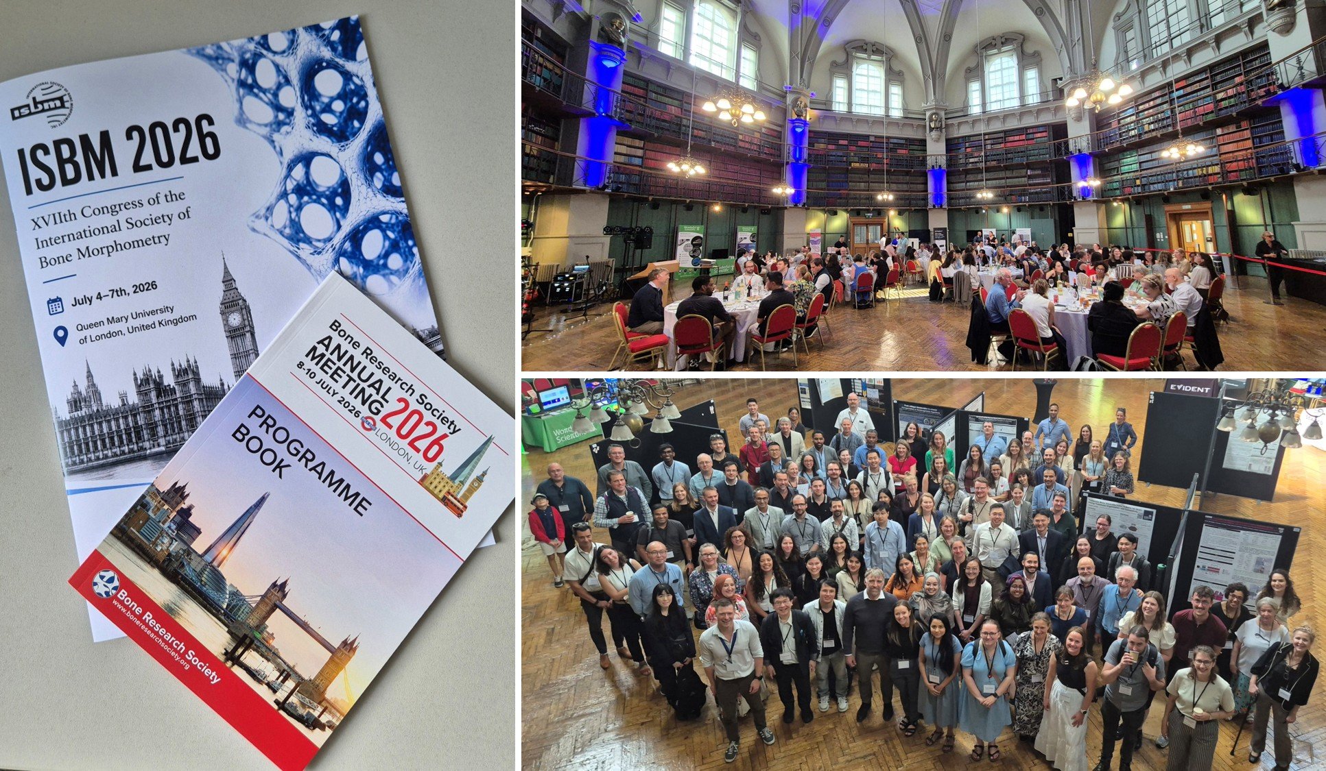 The Lab hosts 2 Bone Research Conferences at Queen Mary!