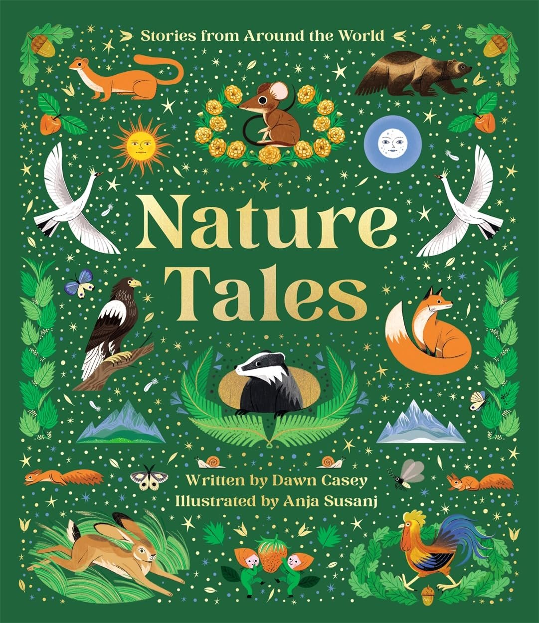 By Dawn Casey | Illustrated by Anja Susanj