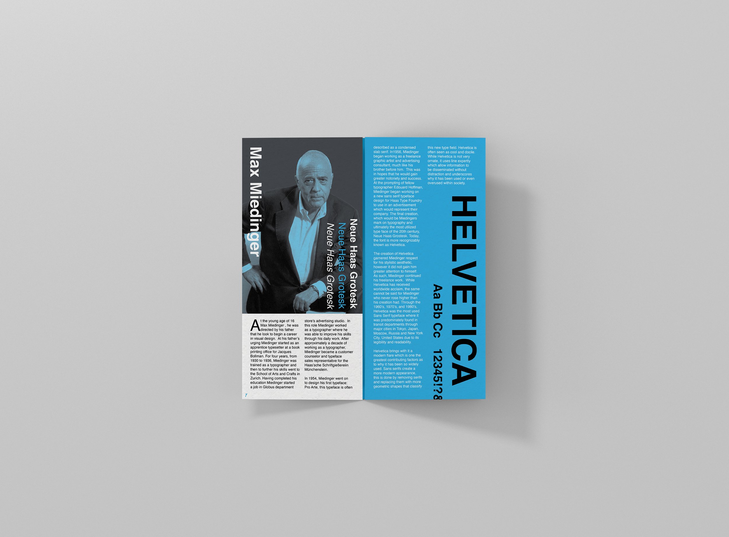 Mockup_AnatomyOfType2.jpg