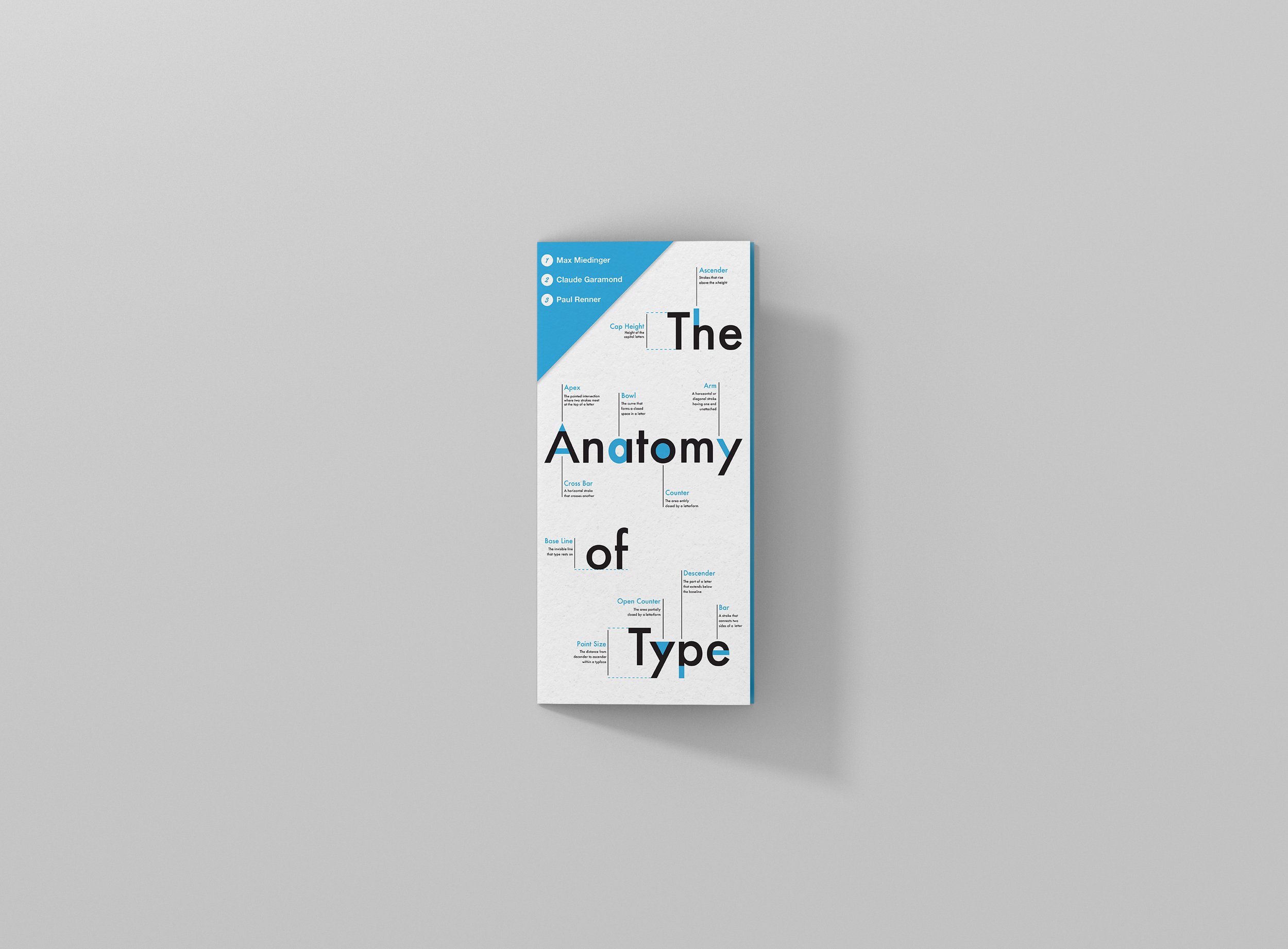 Mockup_AnatomyOfType1.jpg