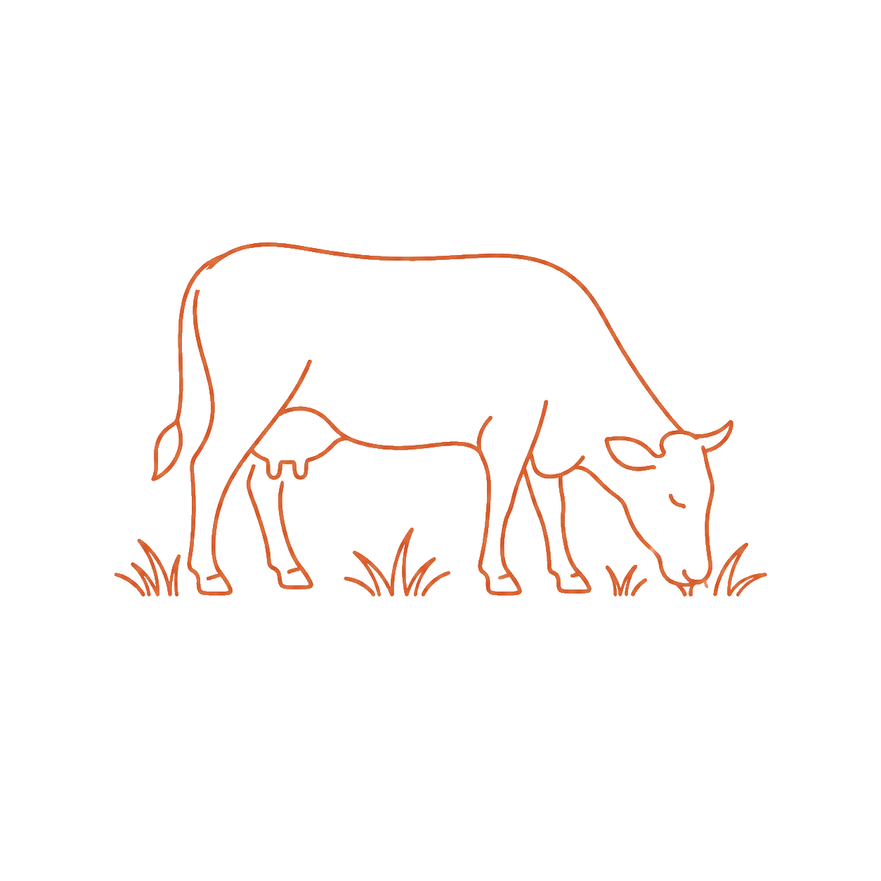 Line drawing of a cow and calf grazing on grass.
