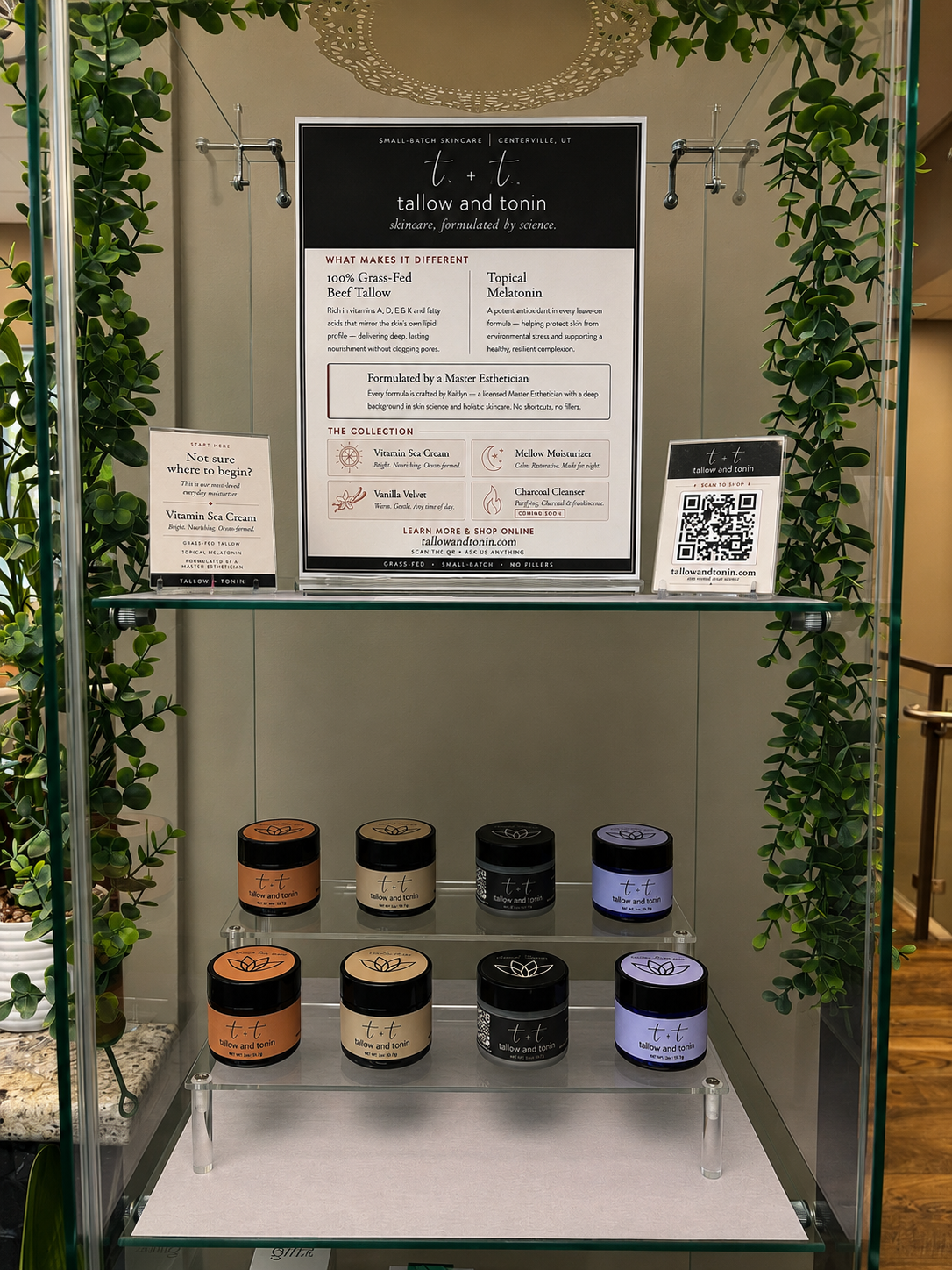 Display shelf with skincare products from Tallow and Tonin, including jars on two shelves, framed promotional materials, and a QR code for online shopping, decorated with green foliage.