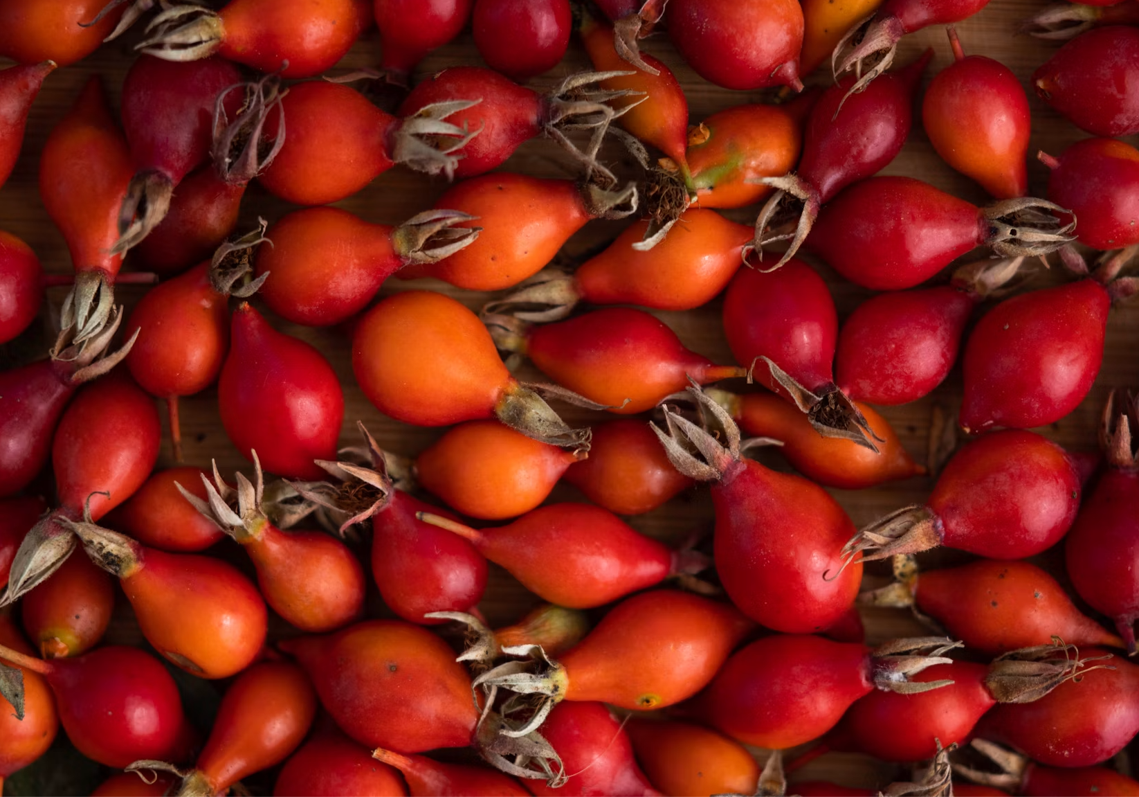 Close-up of various ripe rose hips, some red and some orange, on a wooden surface.
