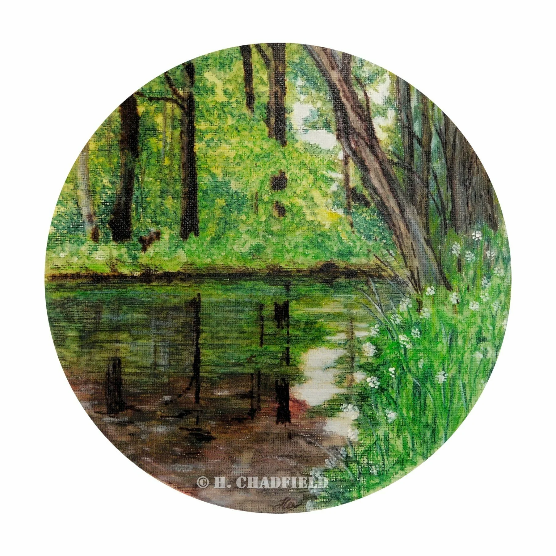 Spring Green (Spottes Burn, Galloway)