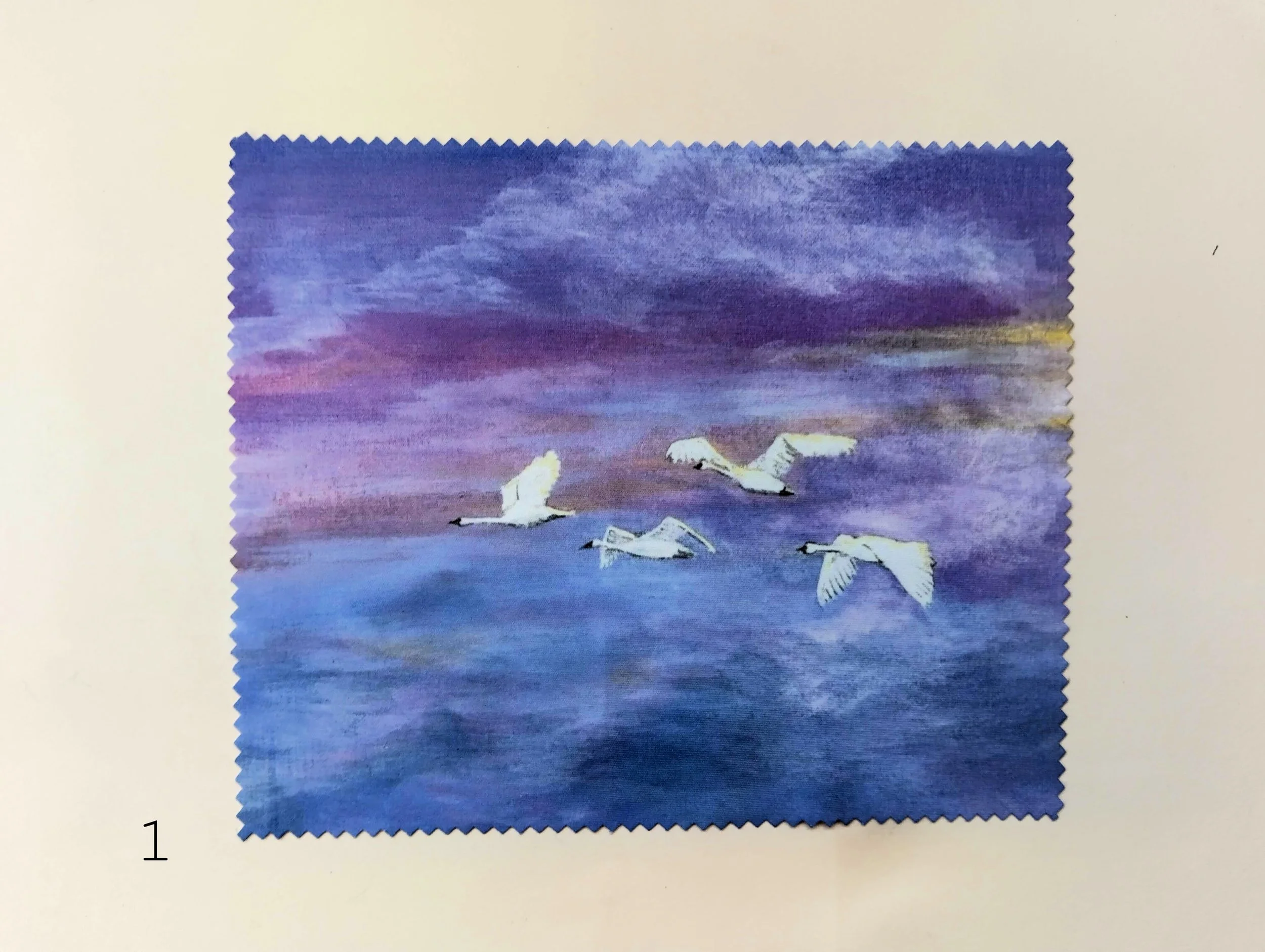 Galloway Wings Lens Cloth.jpg