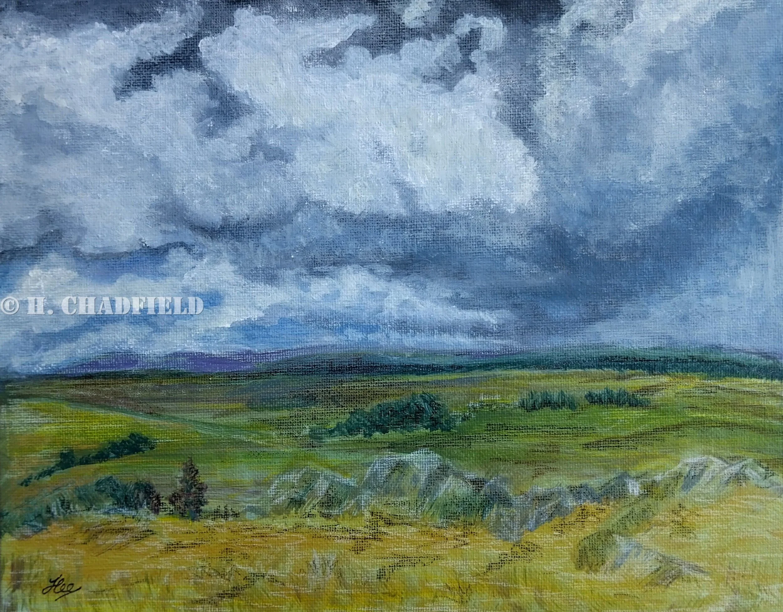 Weather Watching.jpg