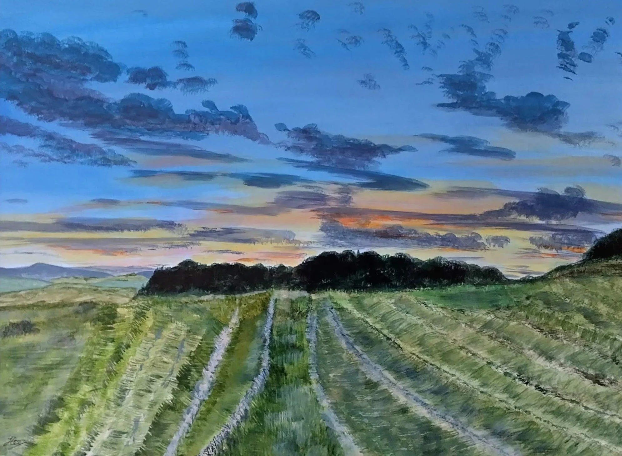 Evening Walk - Galloway