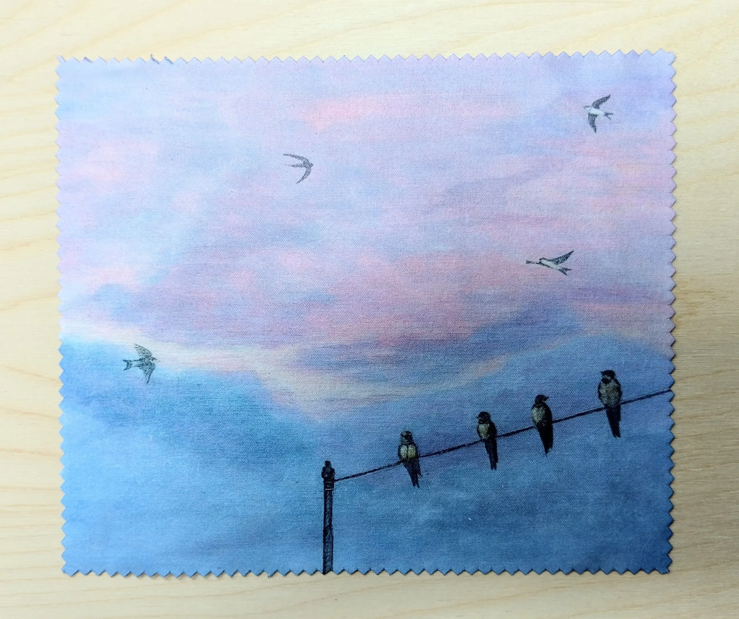 Lens Cloth Travellers (1).jpg