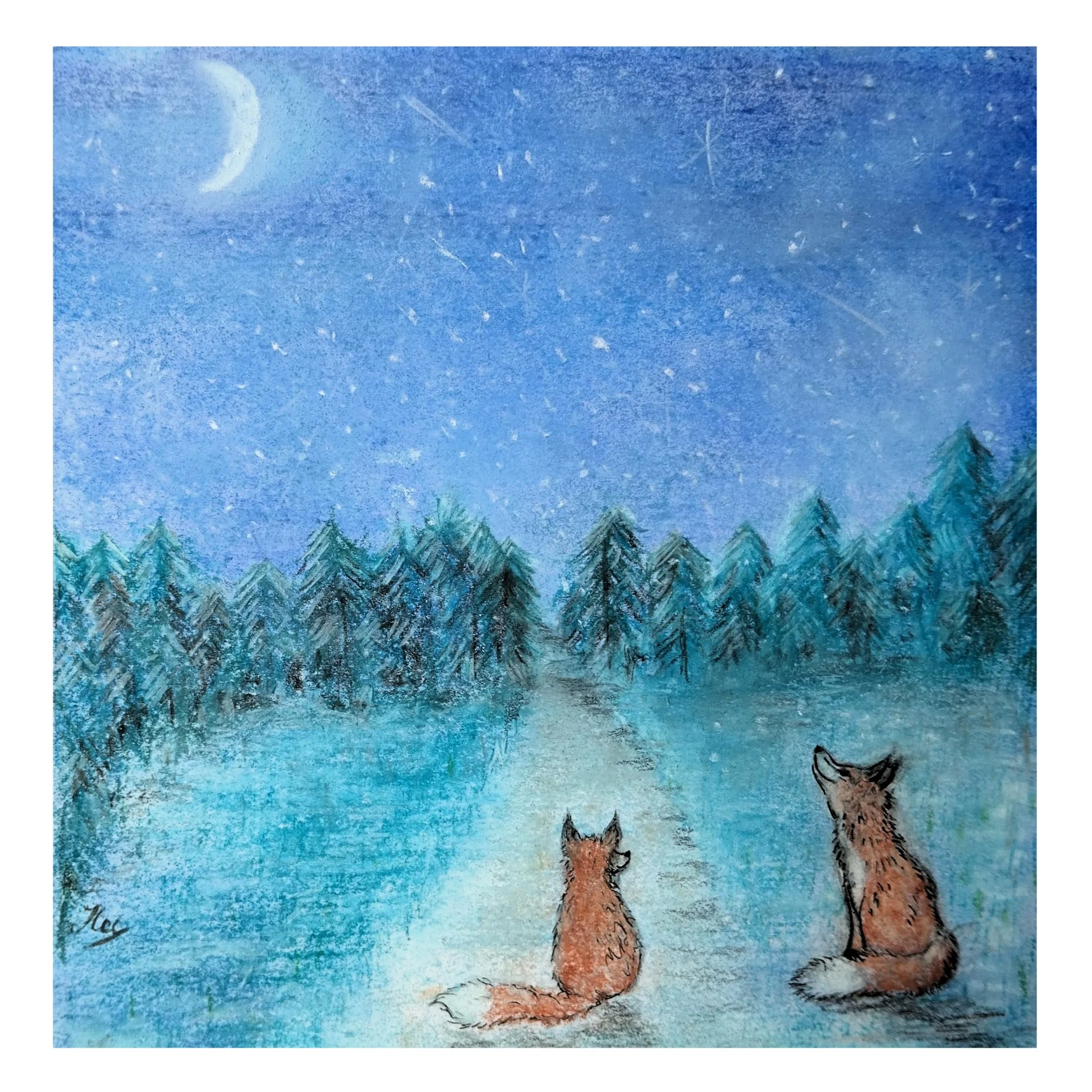 Winterwatching square book.jpg