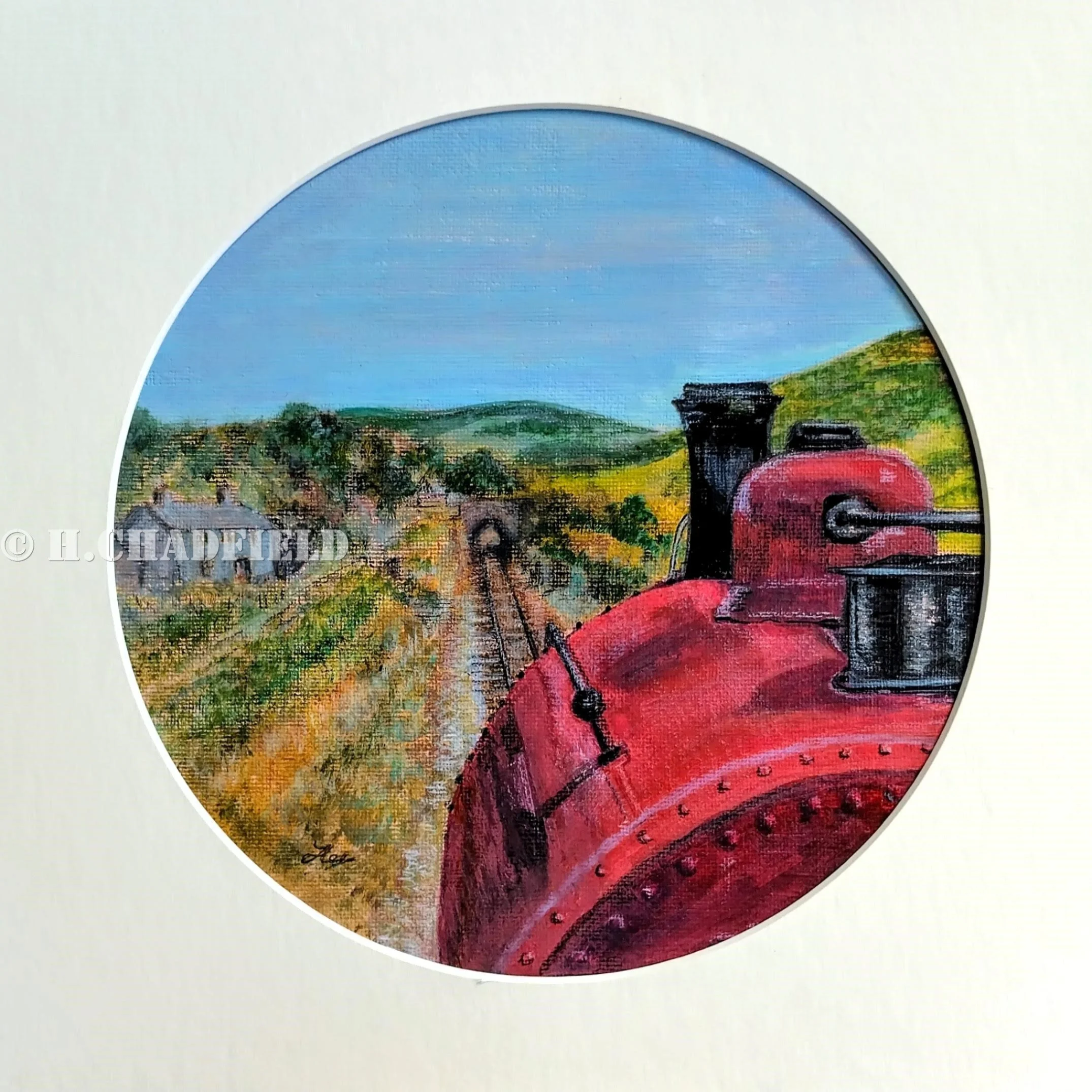 Through the Spectacle Plate 2