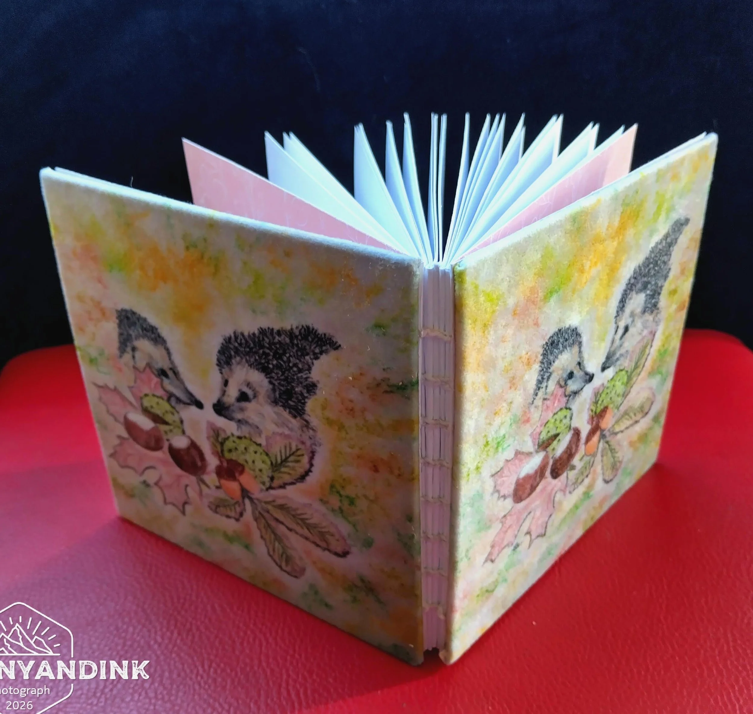 gift-box-2-hedgehogs-4-6aa96c4d40089.jpg