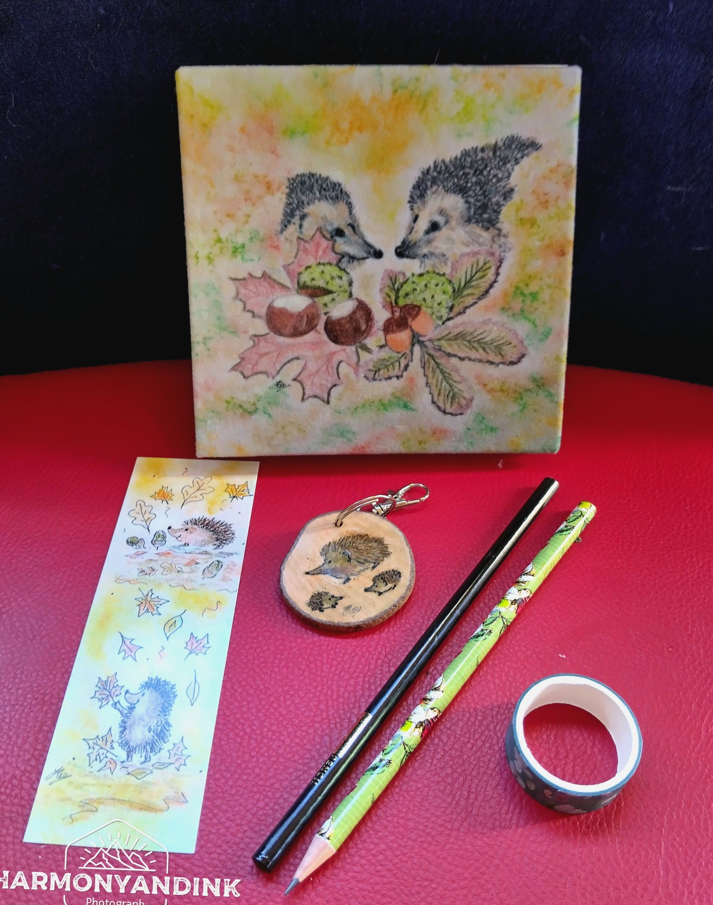 gift-box-2-hedgehogs-6-6aa96c4ee13f6.jpg