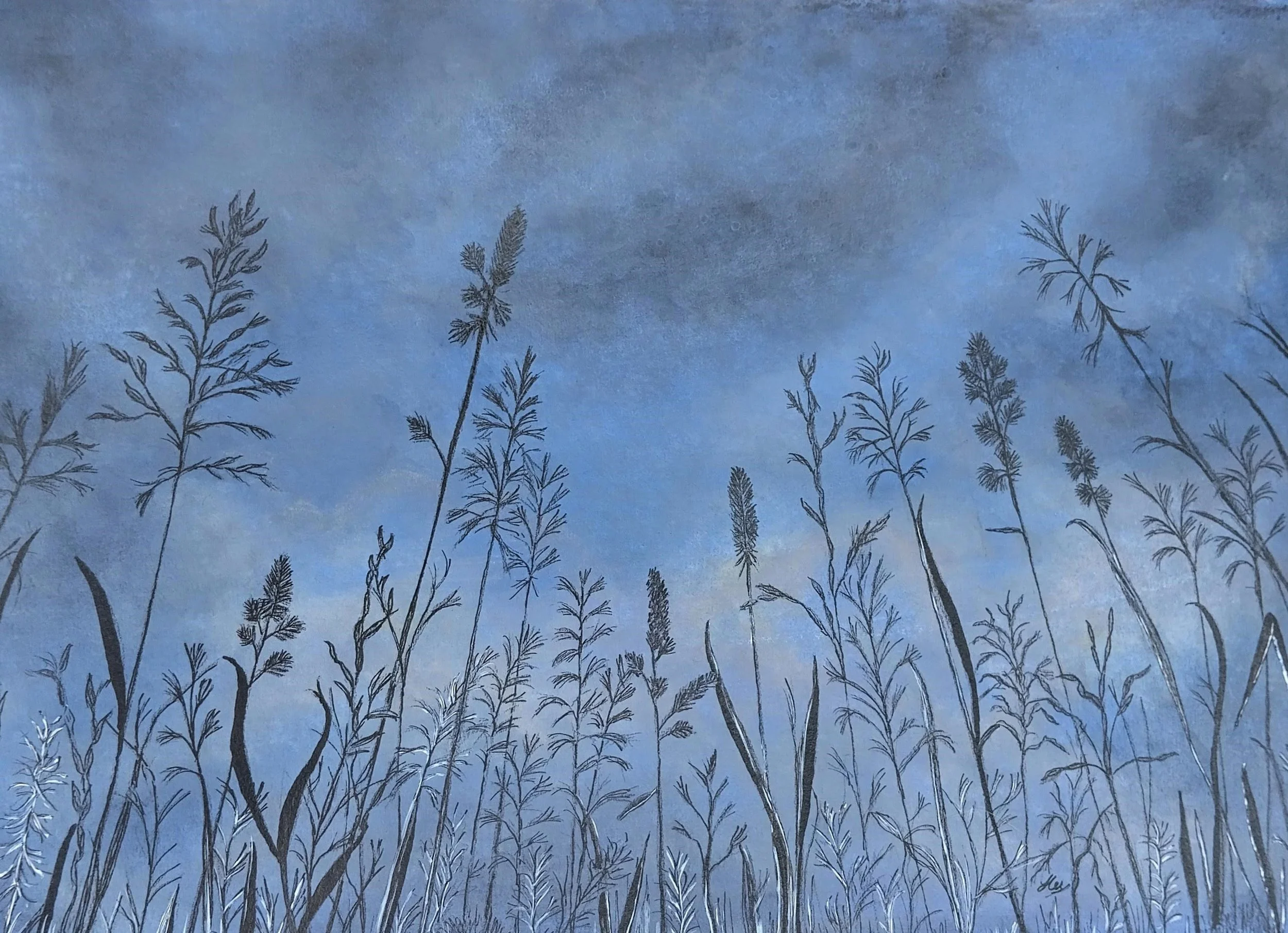 A blue cloudy sky with waving grasses in the foreground in black ink