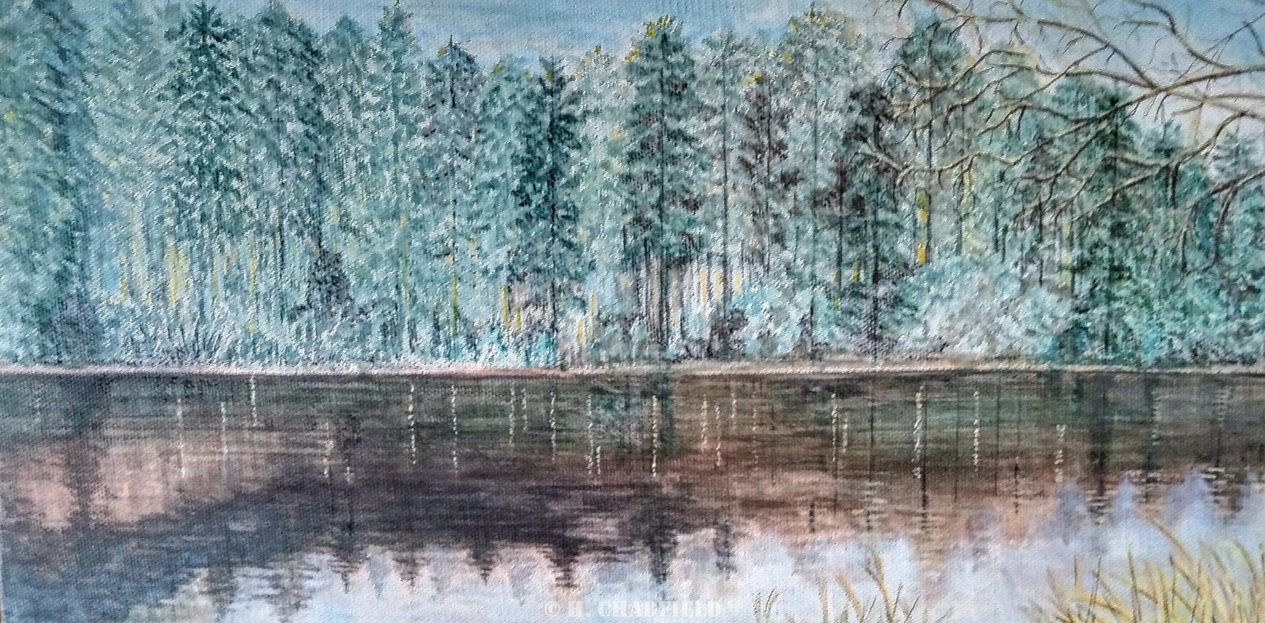 Plantain Loch Reflections (Dalbeattie)