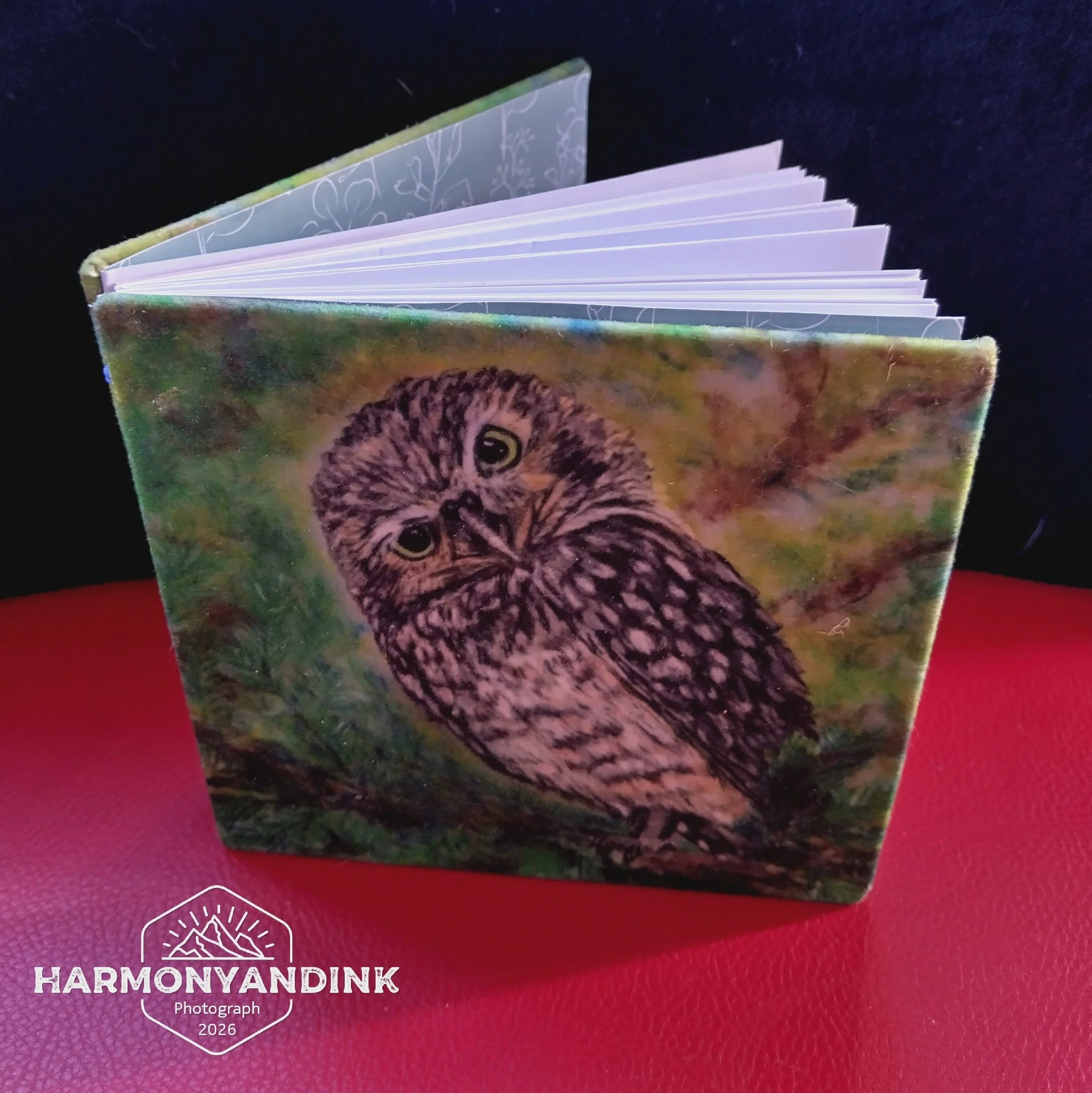 gift-box-1-peekaboo-owl-3-6aa9673176afd.jpg