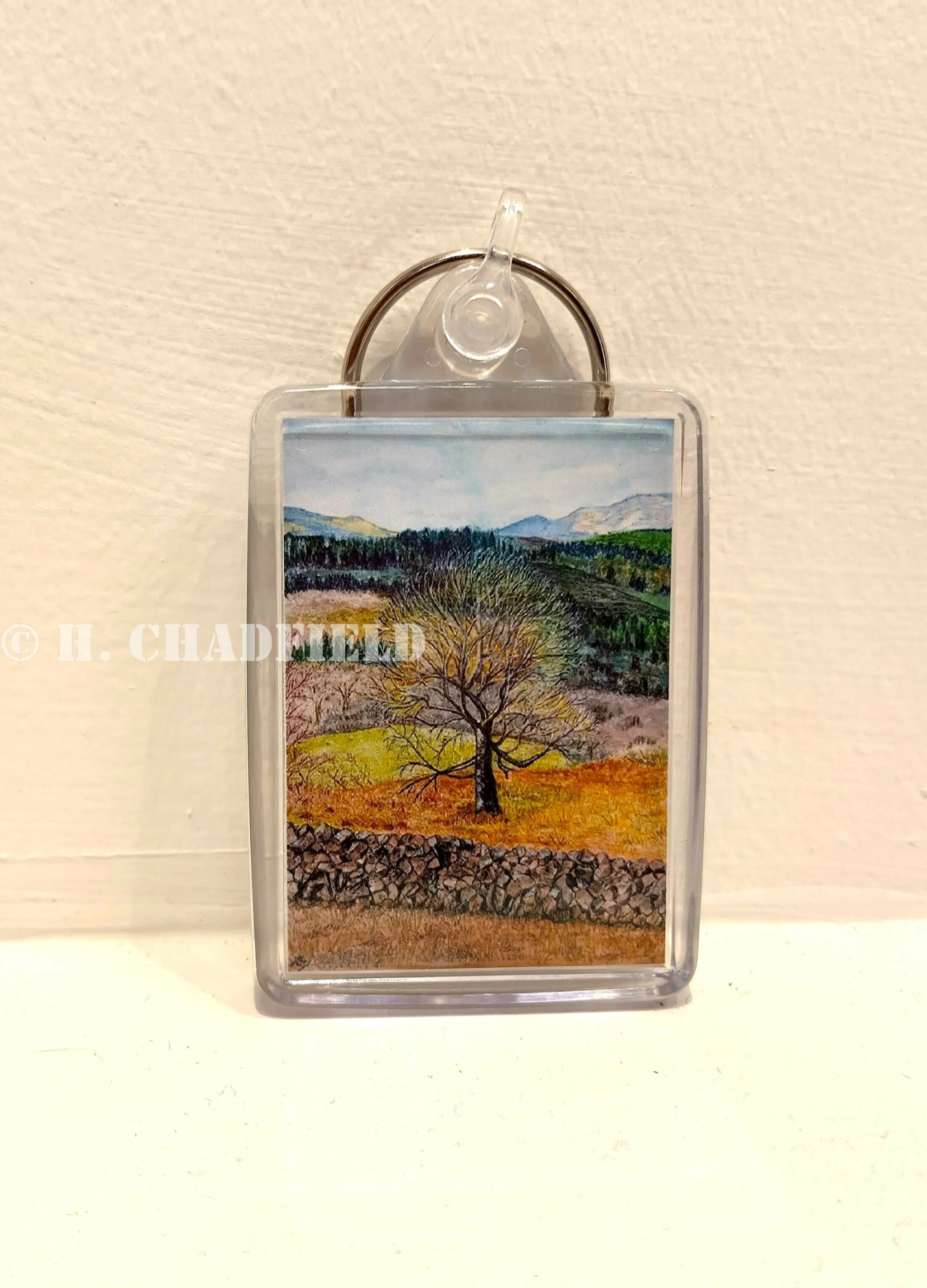 Keyring - Galloway Sentinel