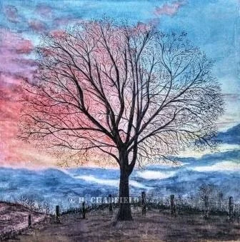 Isobel's Tree.jpg