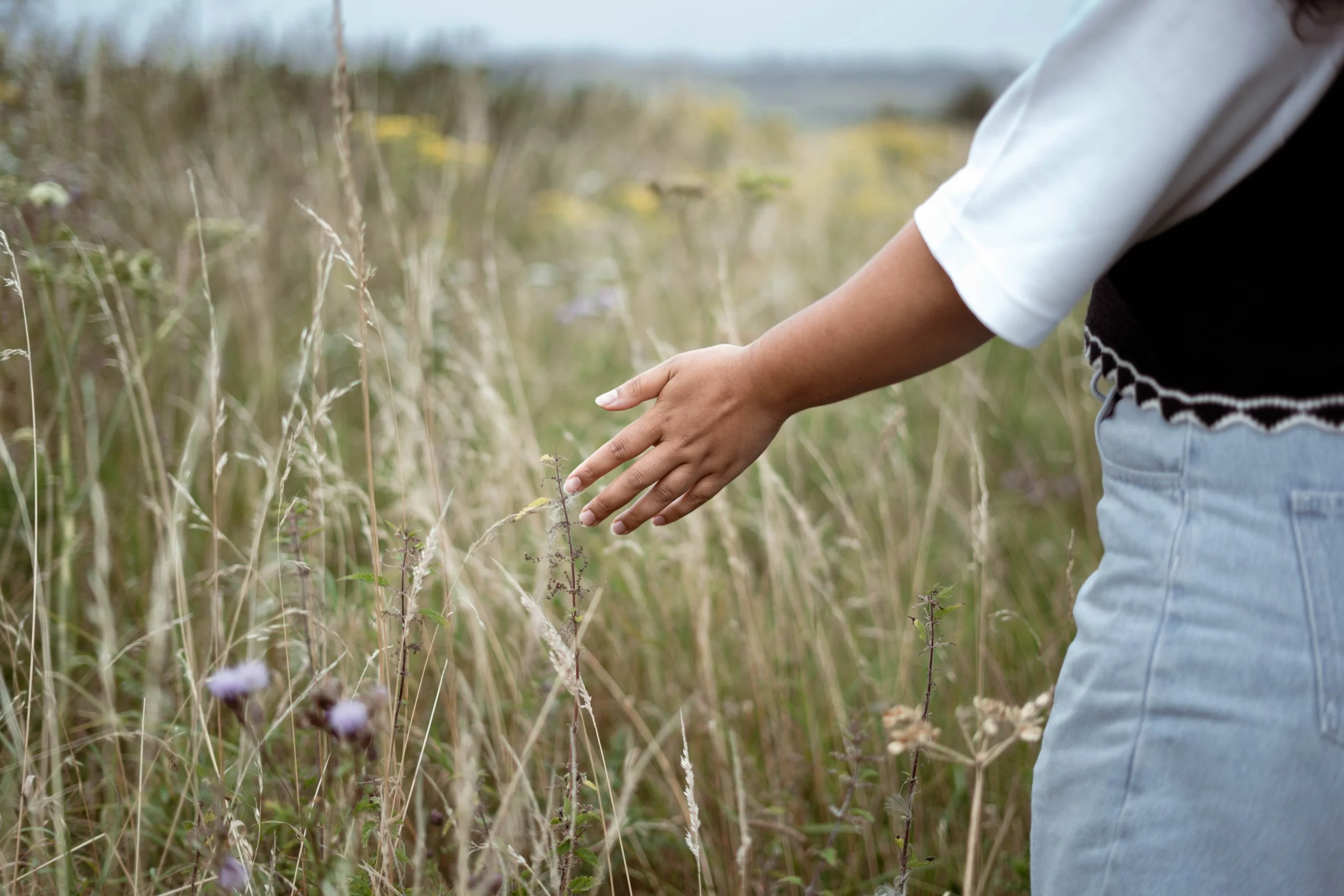 A person touching tall grass and wildflowers in a field during daytime