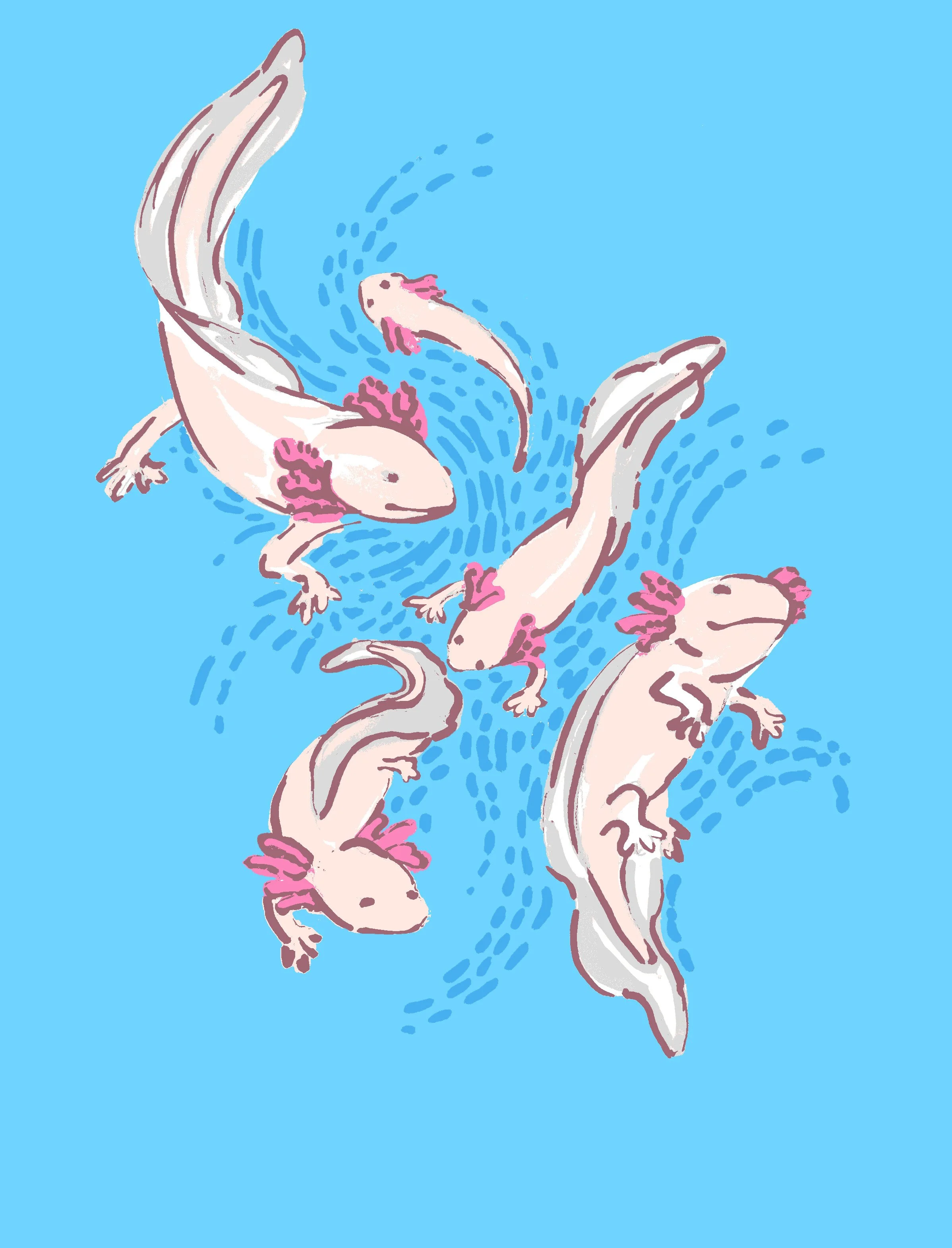 axolotl2 copy.jpg
