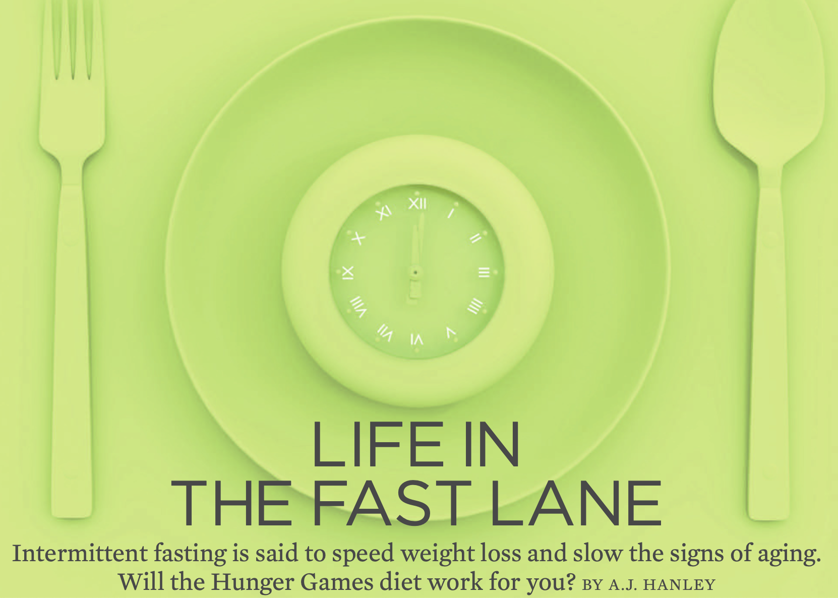 PURIST: Life in the Fast Lane 