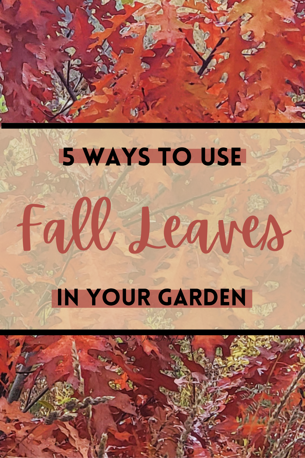 5 Ways to Use Fall Leaves in Your Garden and On the Farm