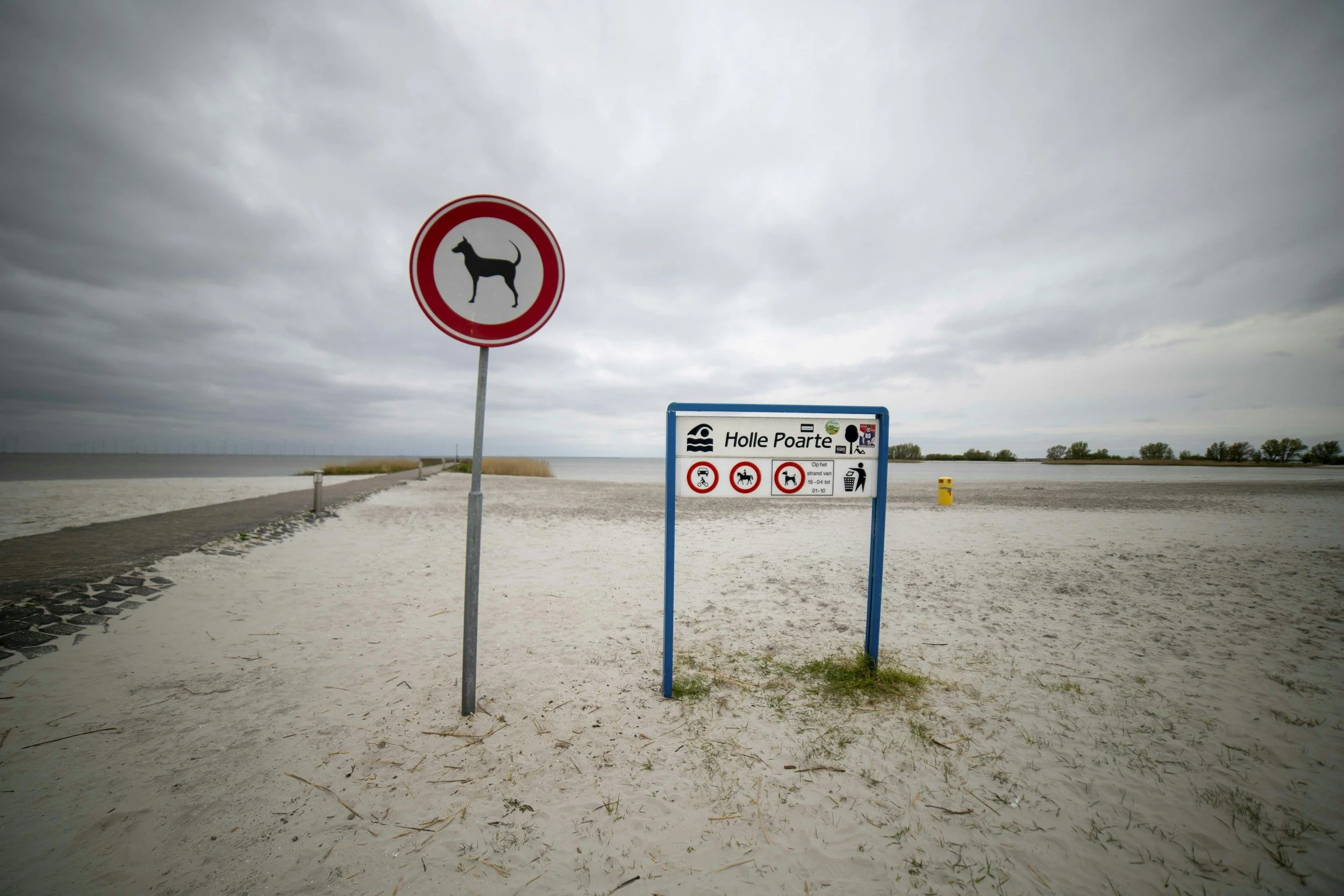 Límites Claros: El Idioma Que Nadie Quiere Hablar (Pero Todos Necesitan)