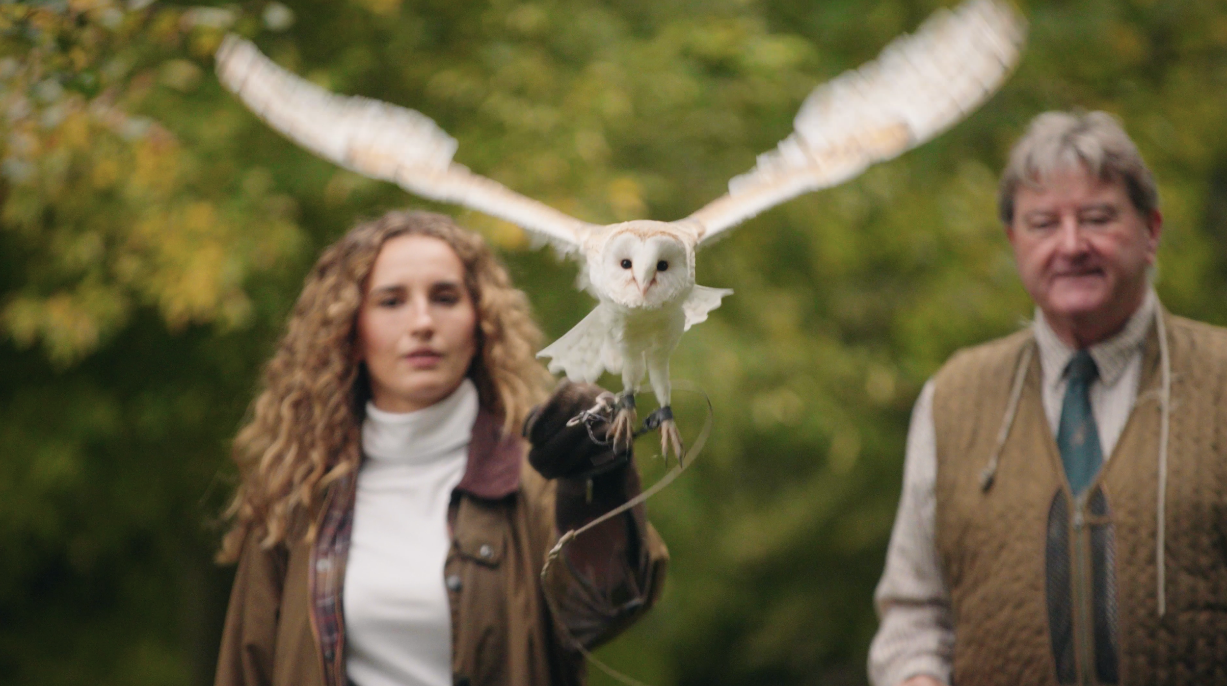 Four Seasons Hampshire falconry. Flying owl