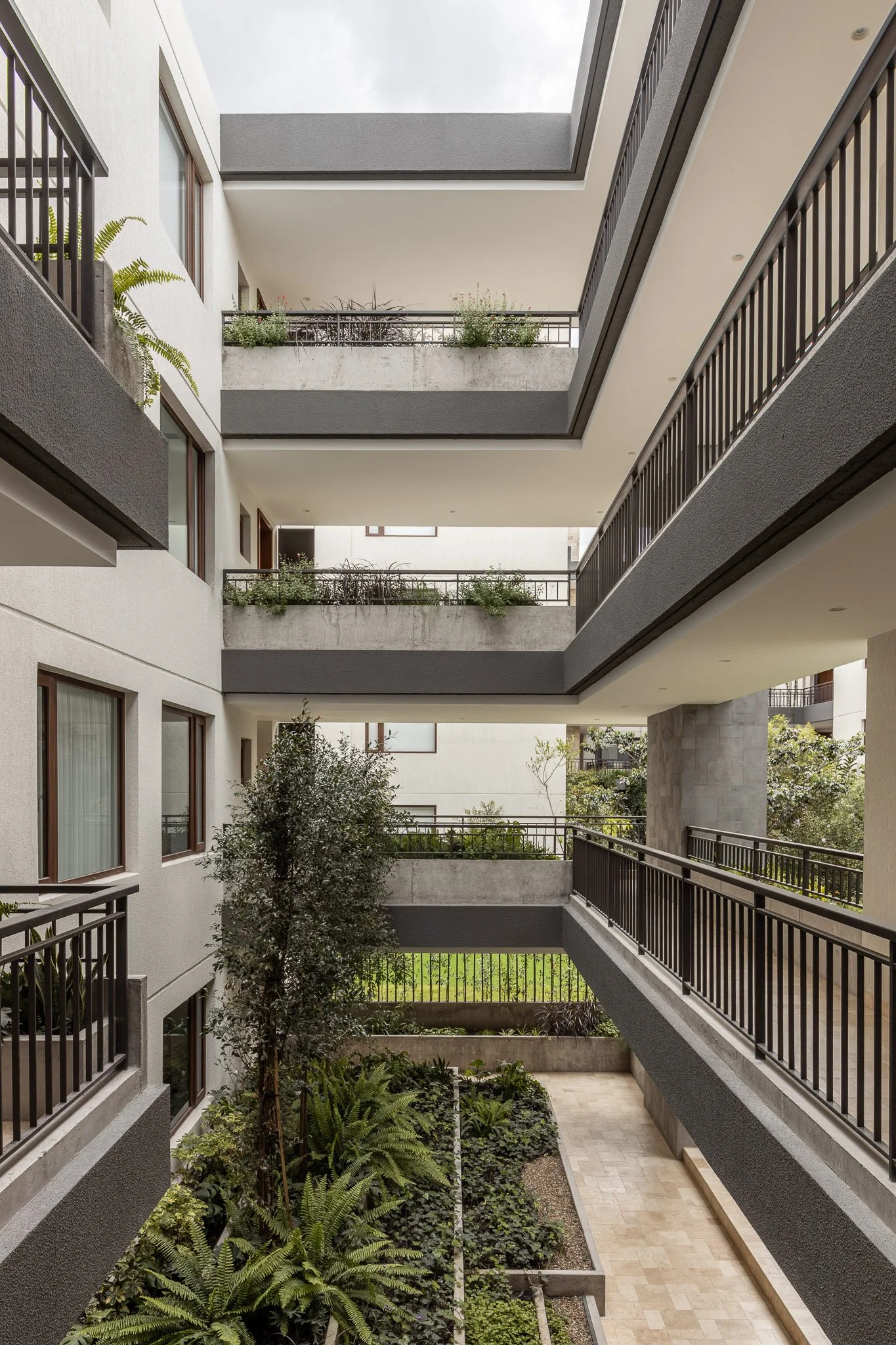 CAPA-FS-JPEG-MD-syrah palms_tumbaco-3.jpg