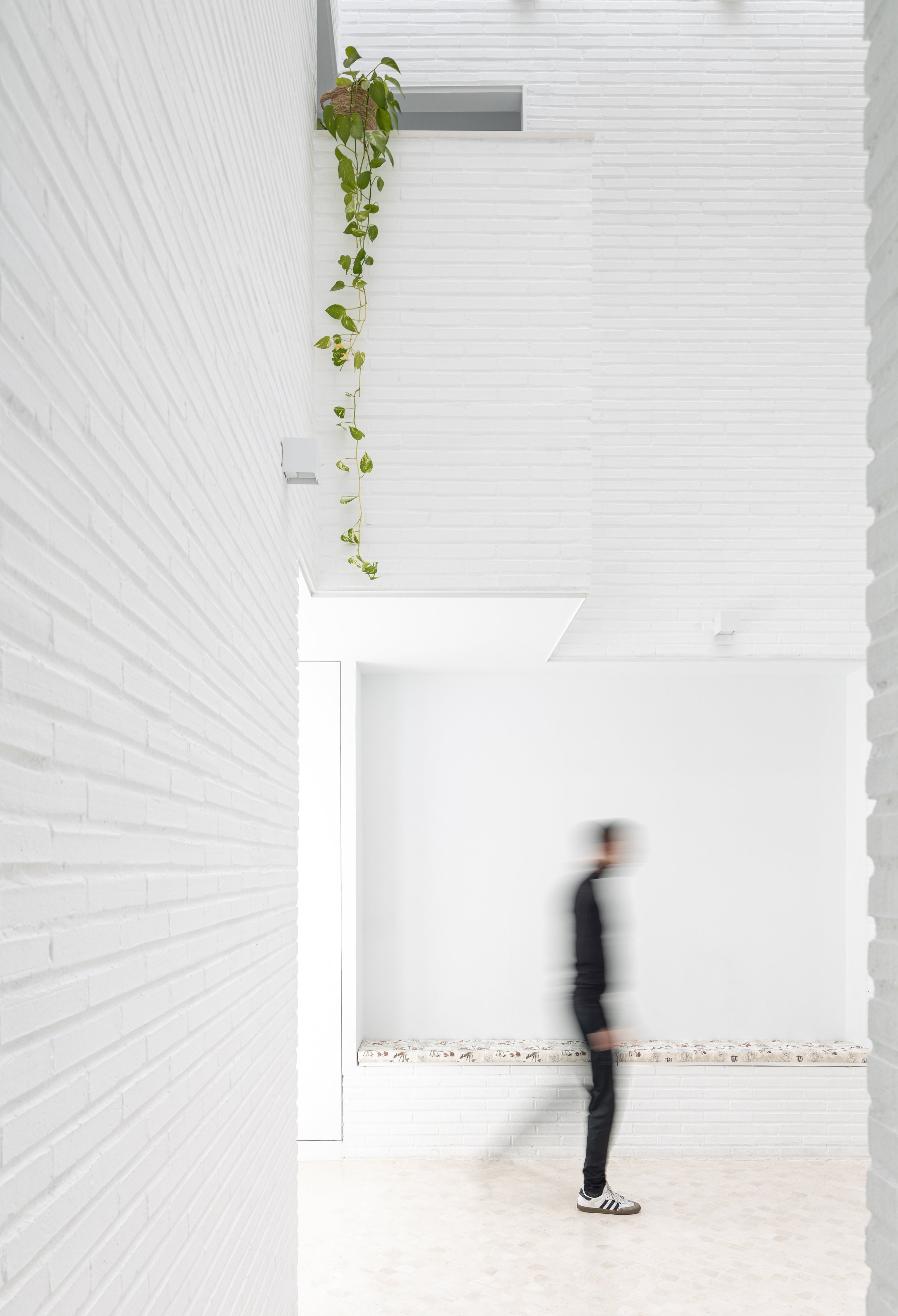 CAPA-FS-JPEG-HD-sRGB-casa manuela_almendralejo_es-7.jpg