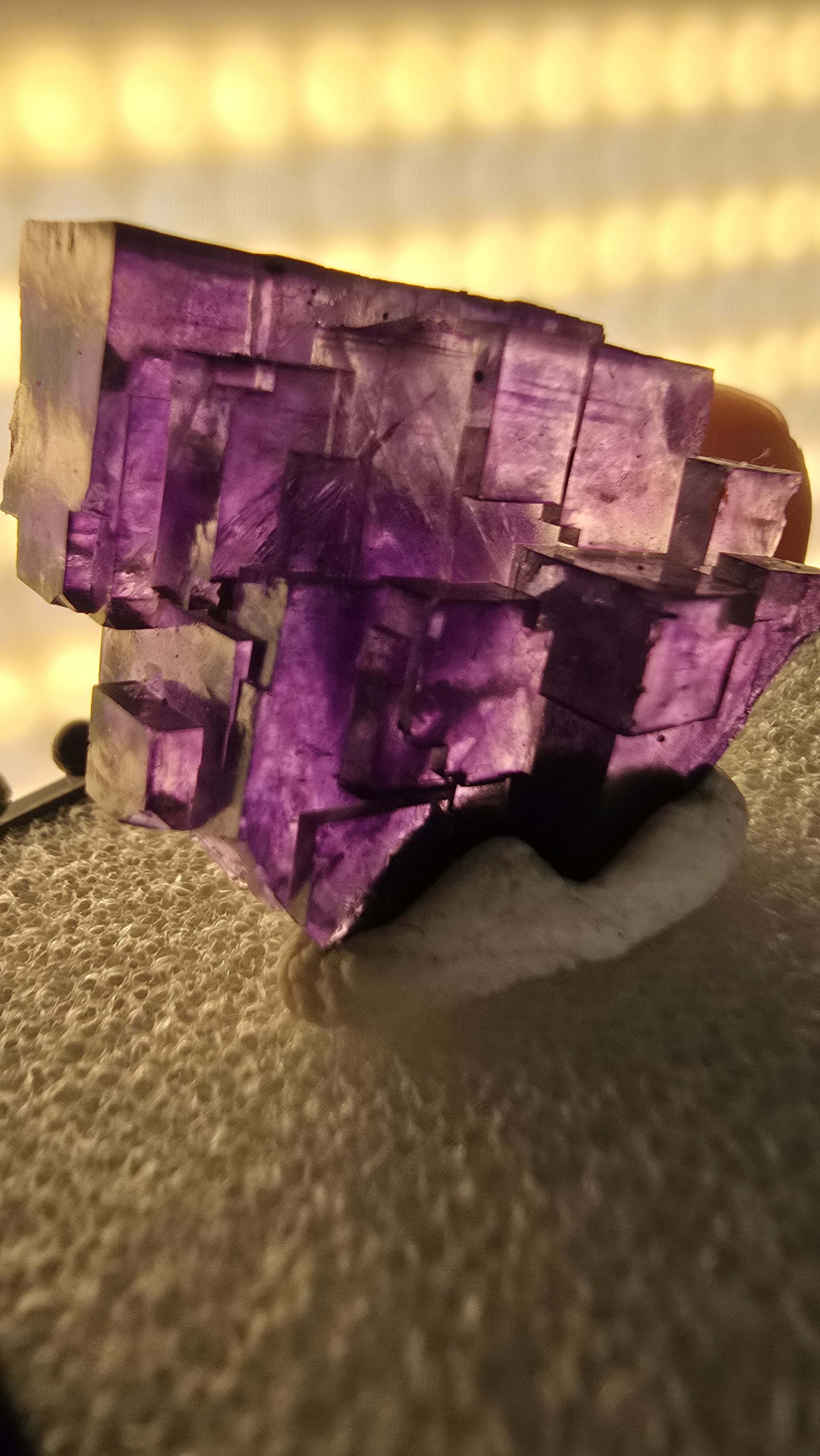 processed_c7e359f00bed46008b4a1913e7aceaa1.jpeg