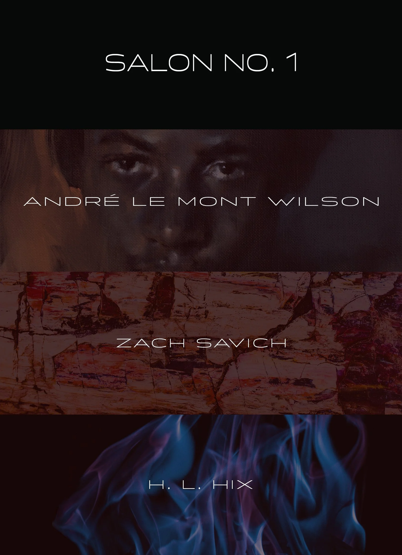 Salon No. 1 Bundle: Wilson, Savich, Hix