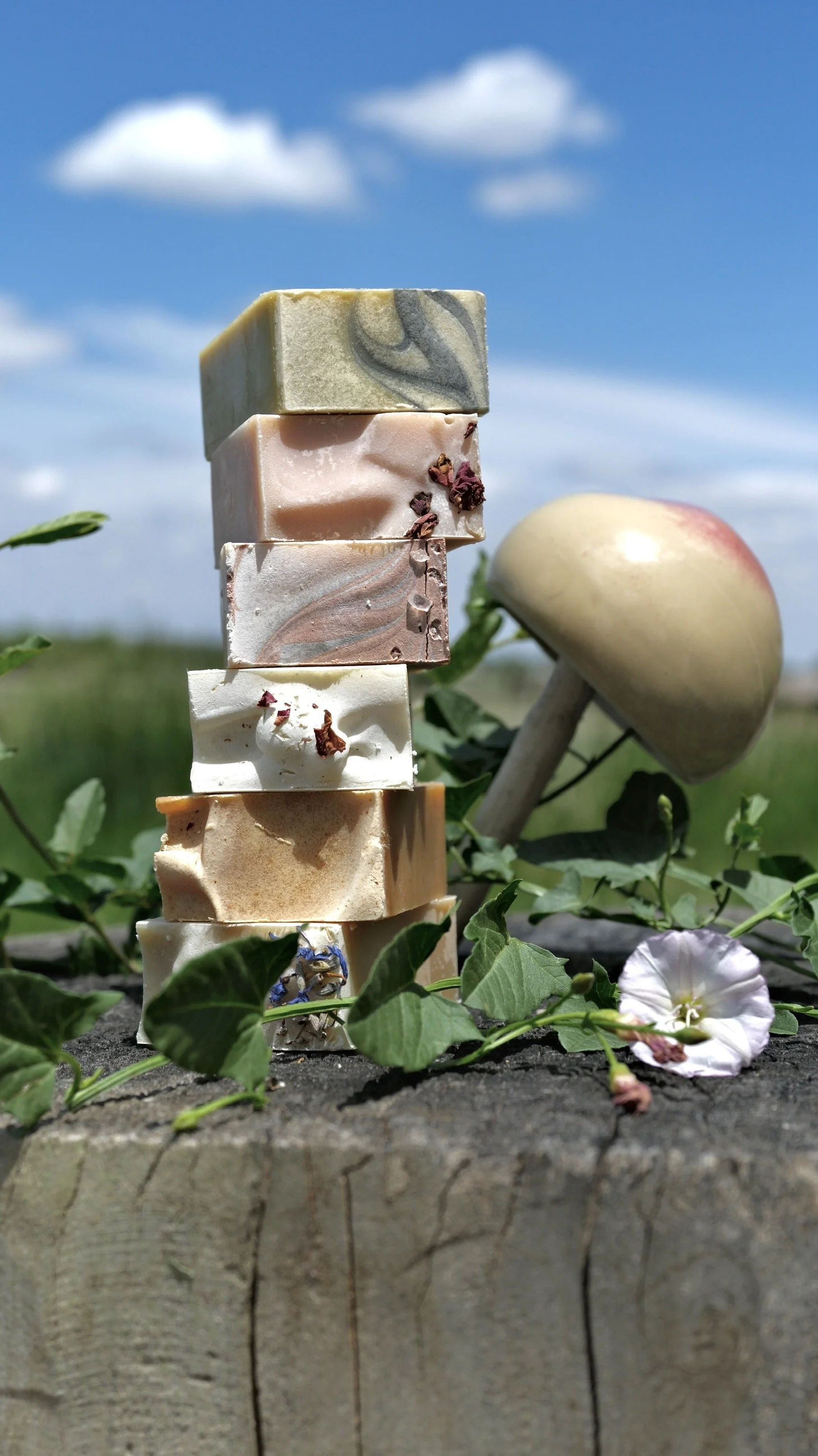 The Wild Bunch — 6 Mini Soap Sampler