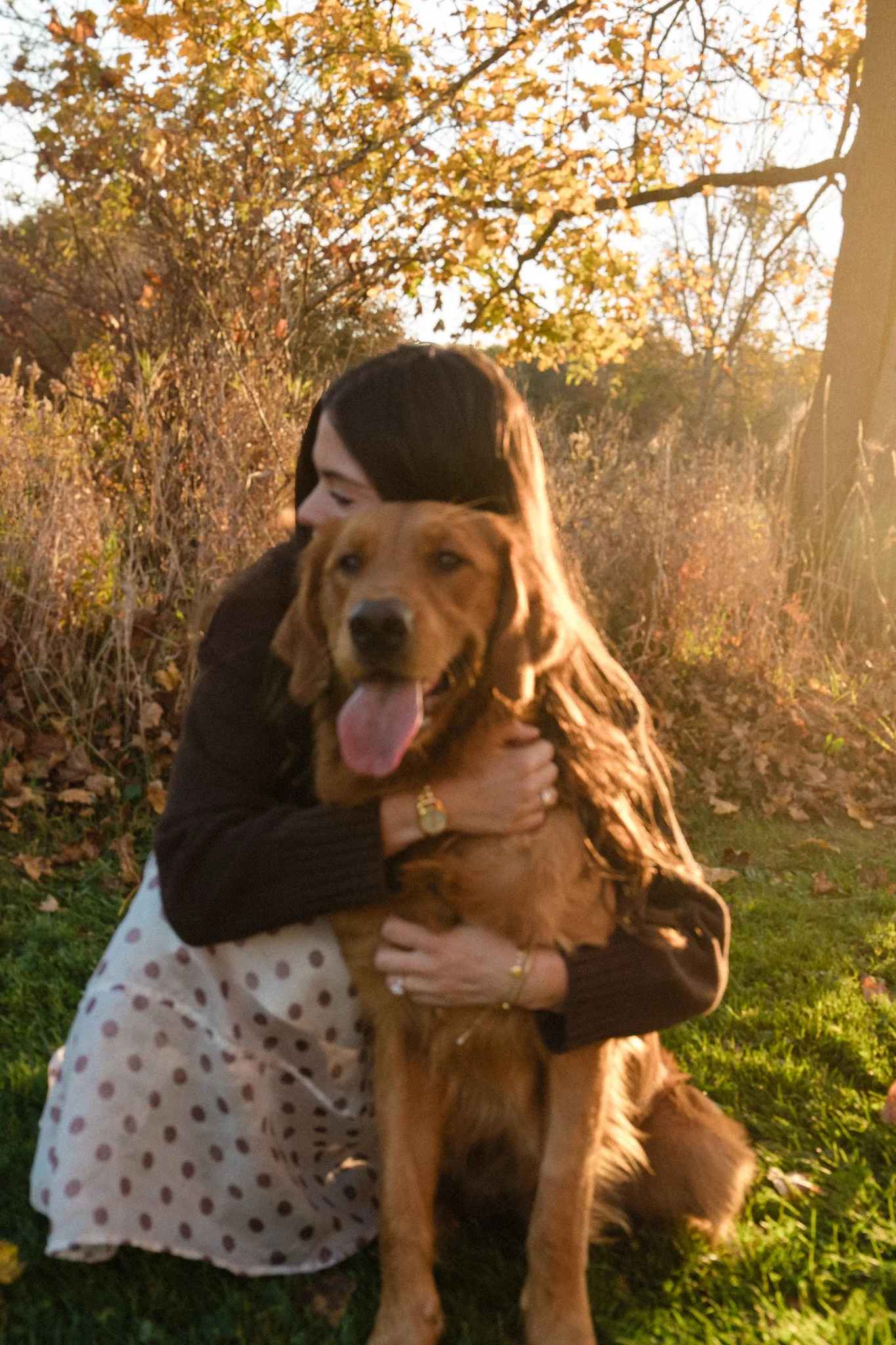 Person hugging a happy golden retriever outdoors in autumn sunlight