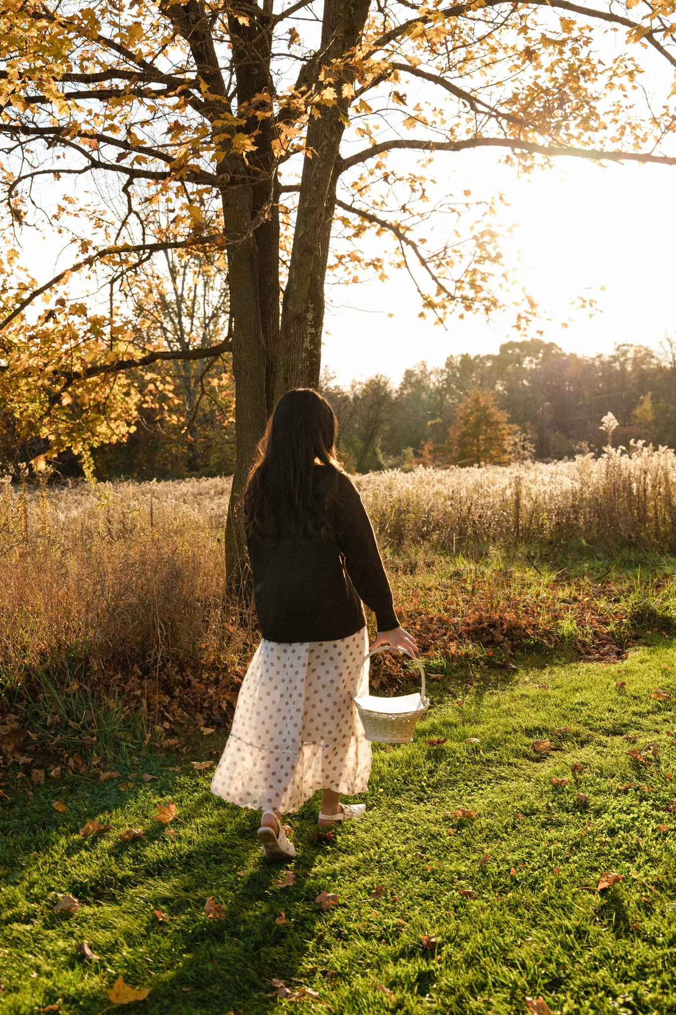 Girl carrying a small basket through a sunlit autumn meadow beneath golden-leaved trees