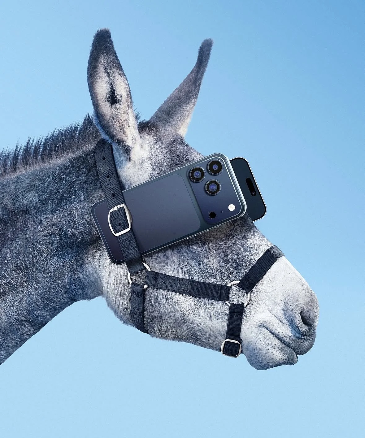 La atención como conducta revolucionaria