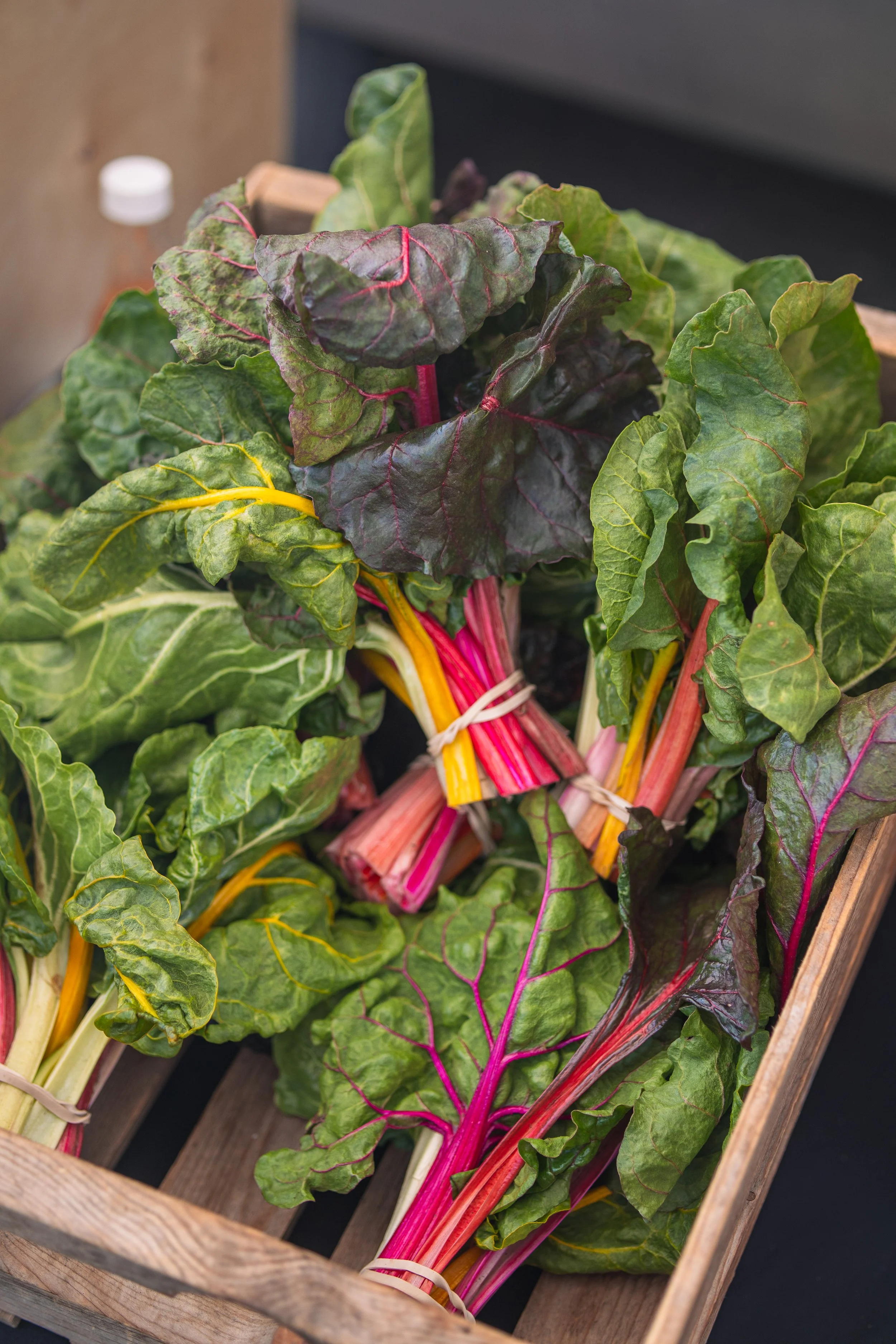 April 2026 - Swiss Chard 1.jpg