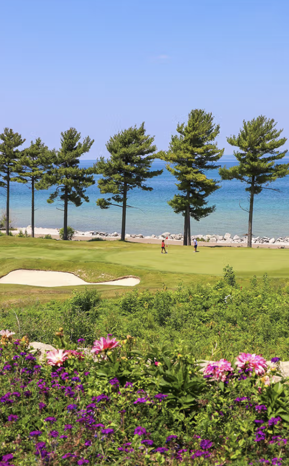 Screenshot 2026-03-02 at 11.42.01 AM.png