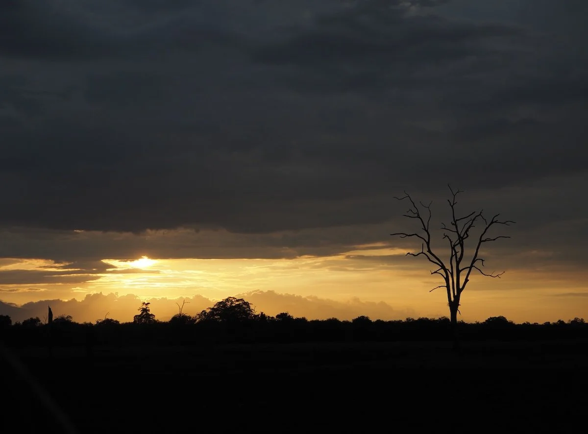 PA133291_Sri Lanka.JPG