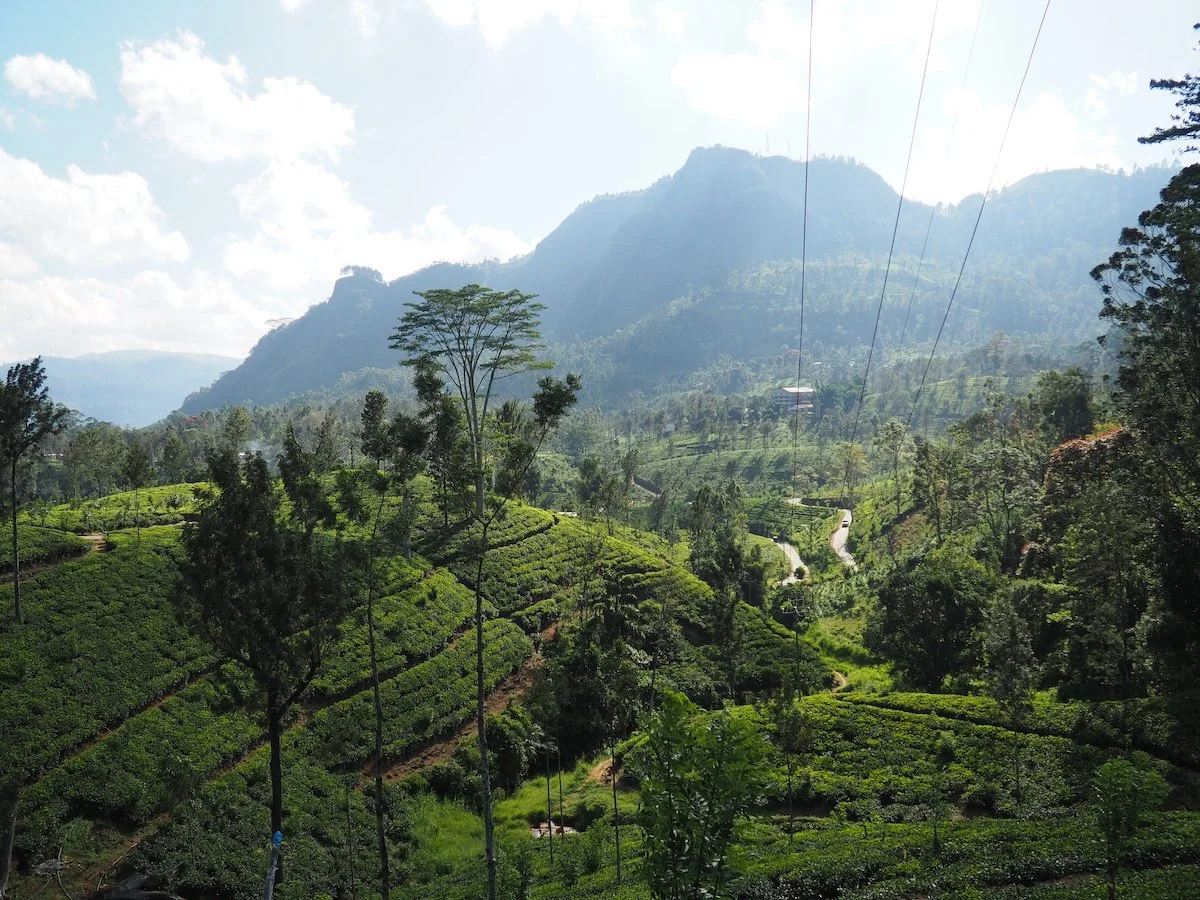 PA101466_Sri Lanka.JPG